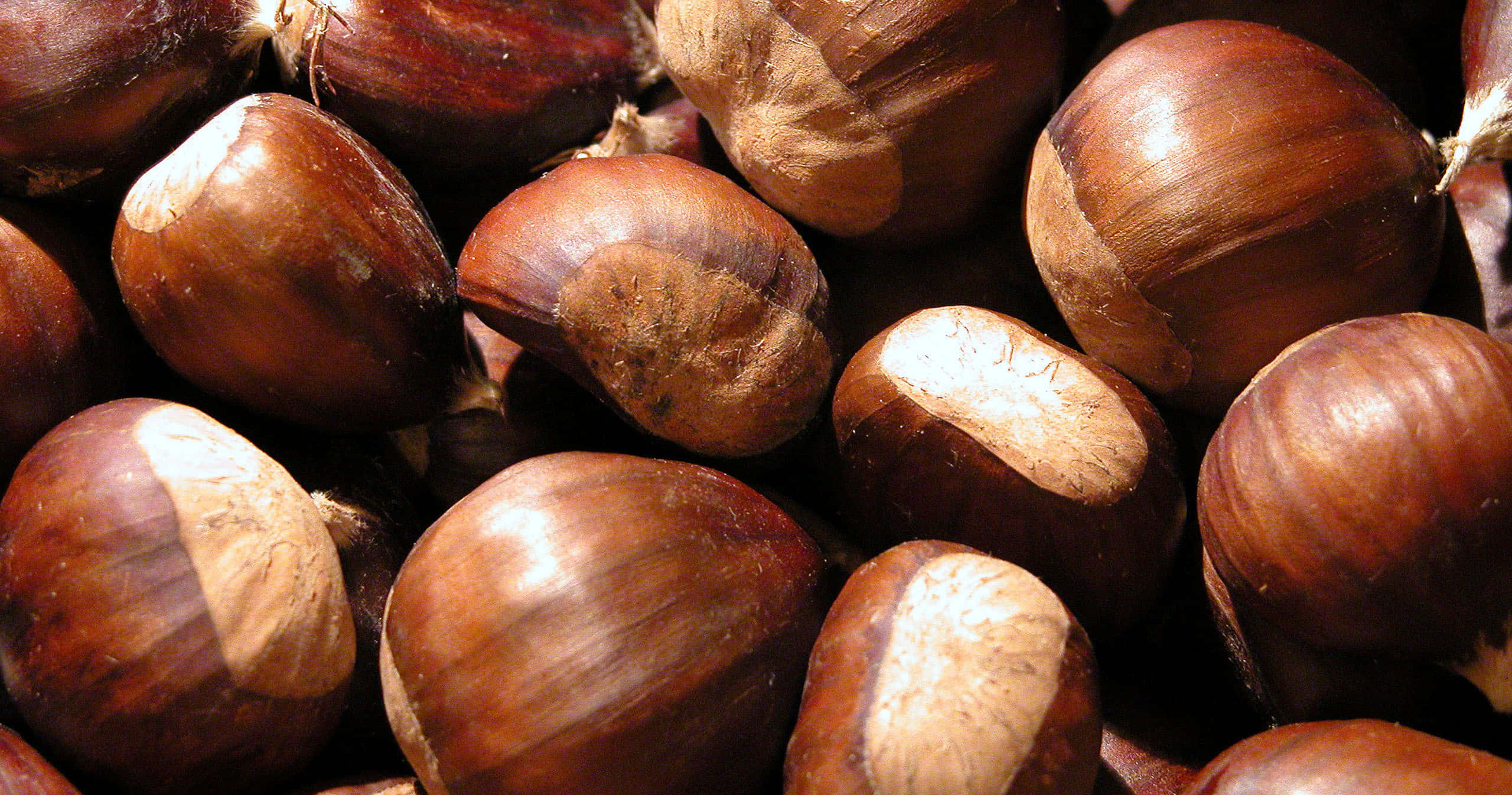 Chestnut, glossy brown, natural textures, 2K Desktop Wallpaper