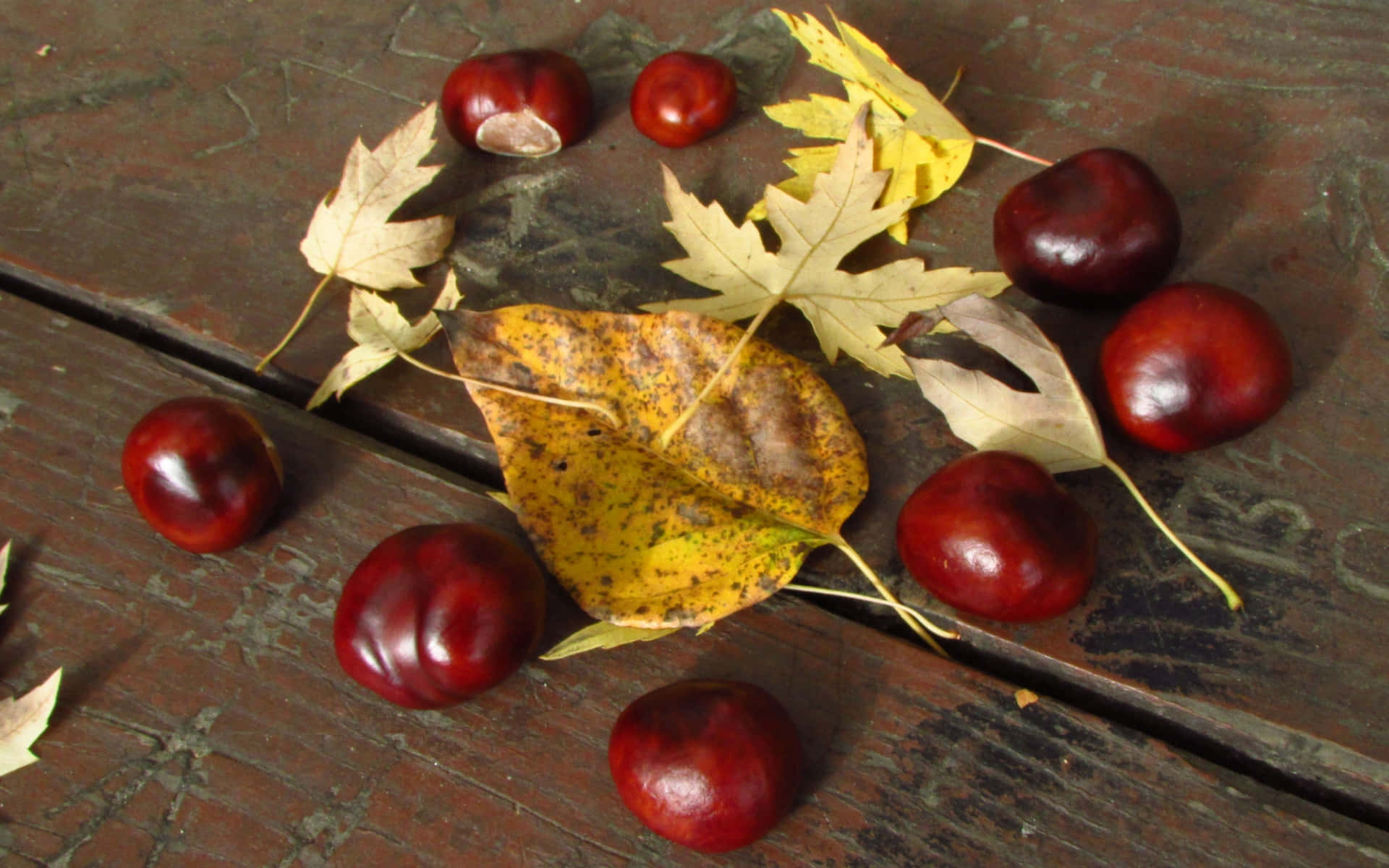 Chestnut, 1920 x 1200, rustic wooden table, Full HD Desktop Wallpaper