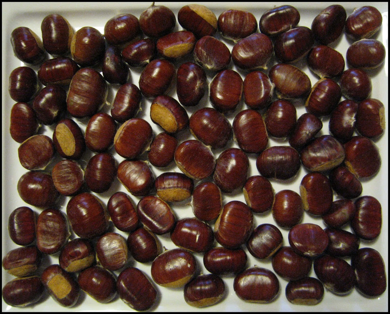 Chestnut, glossy brown, white tray, HD Desktop Wallpaper