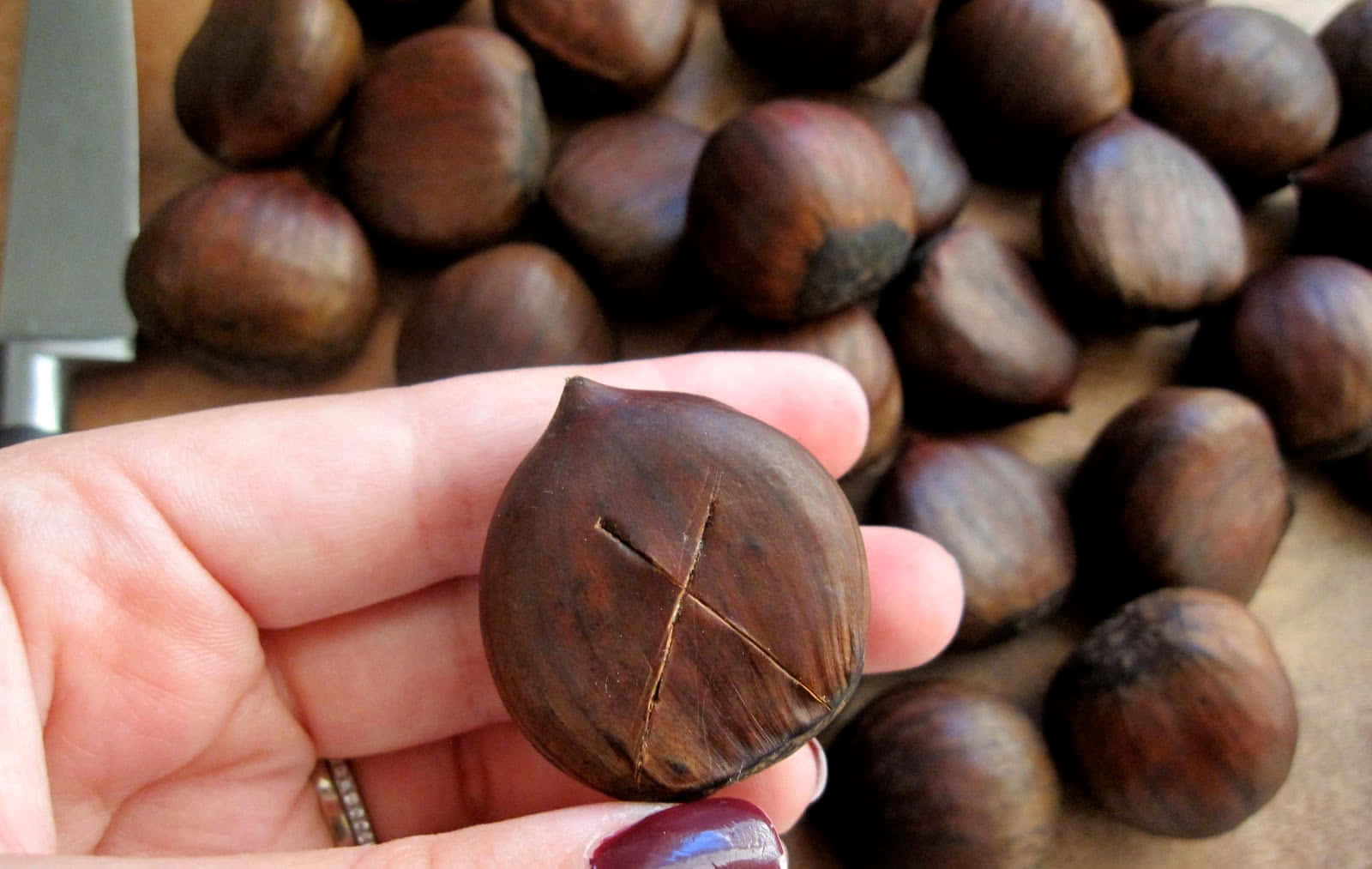 Chestnut Tree, roasted chestnuts, knife, HD Desktop Wallpaper