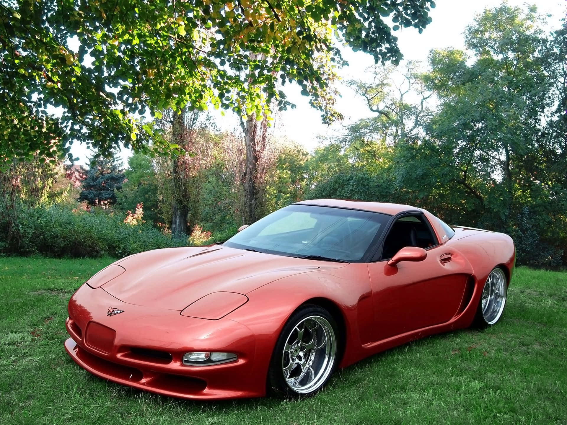 Chevrolet Corvette C5, glossy red, grass, Full HD Desktop Wallpaper