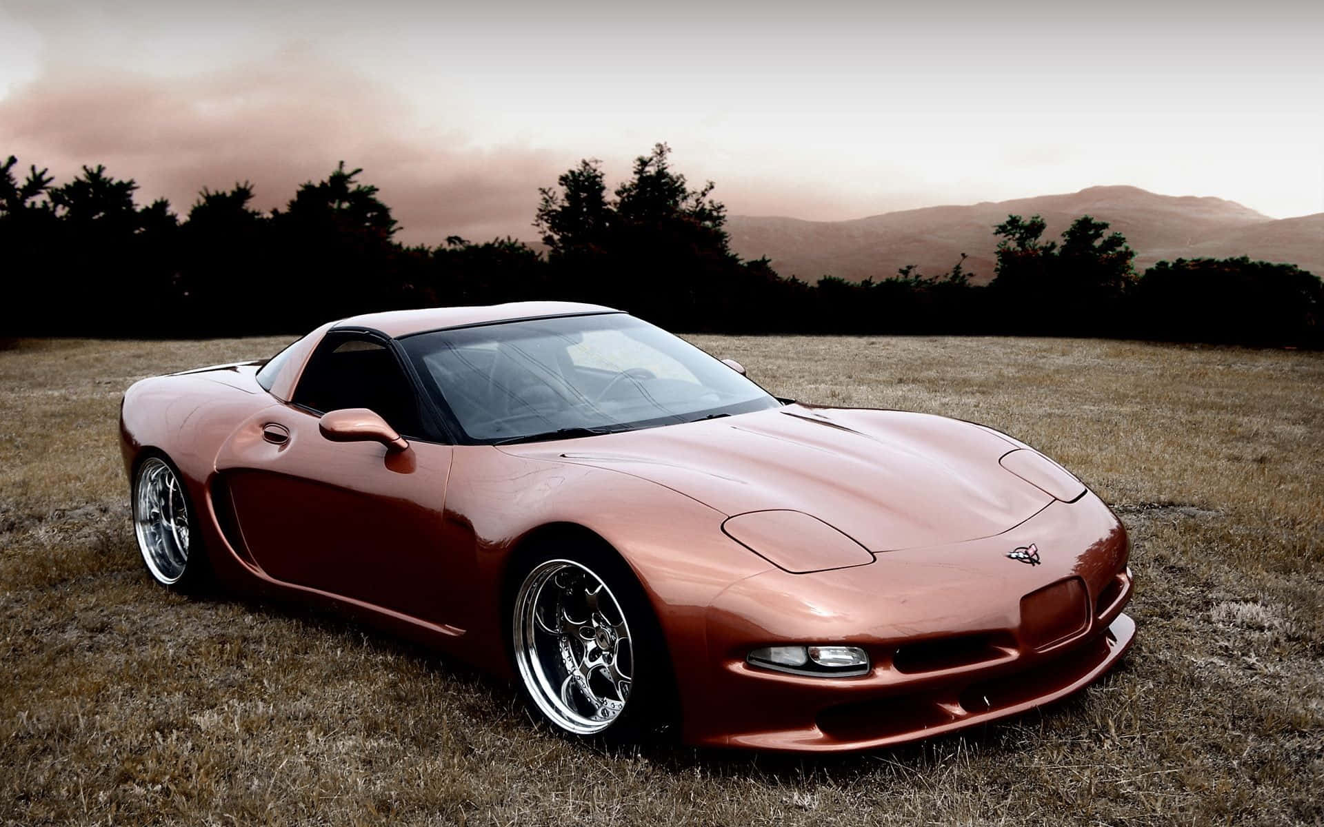 Chevrolet Corvette C5, copper, dry grass field, Full HD Desktop Wallpaper
