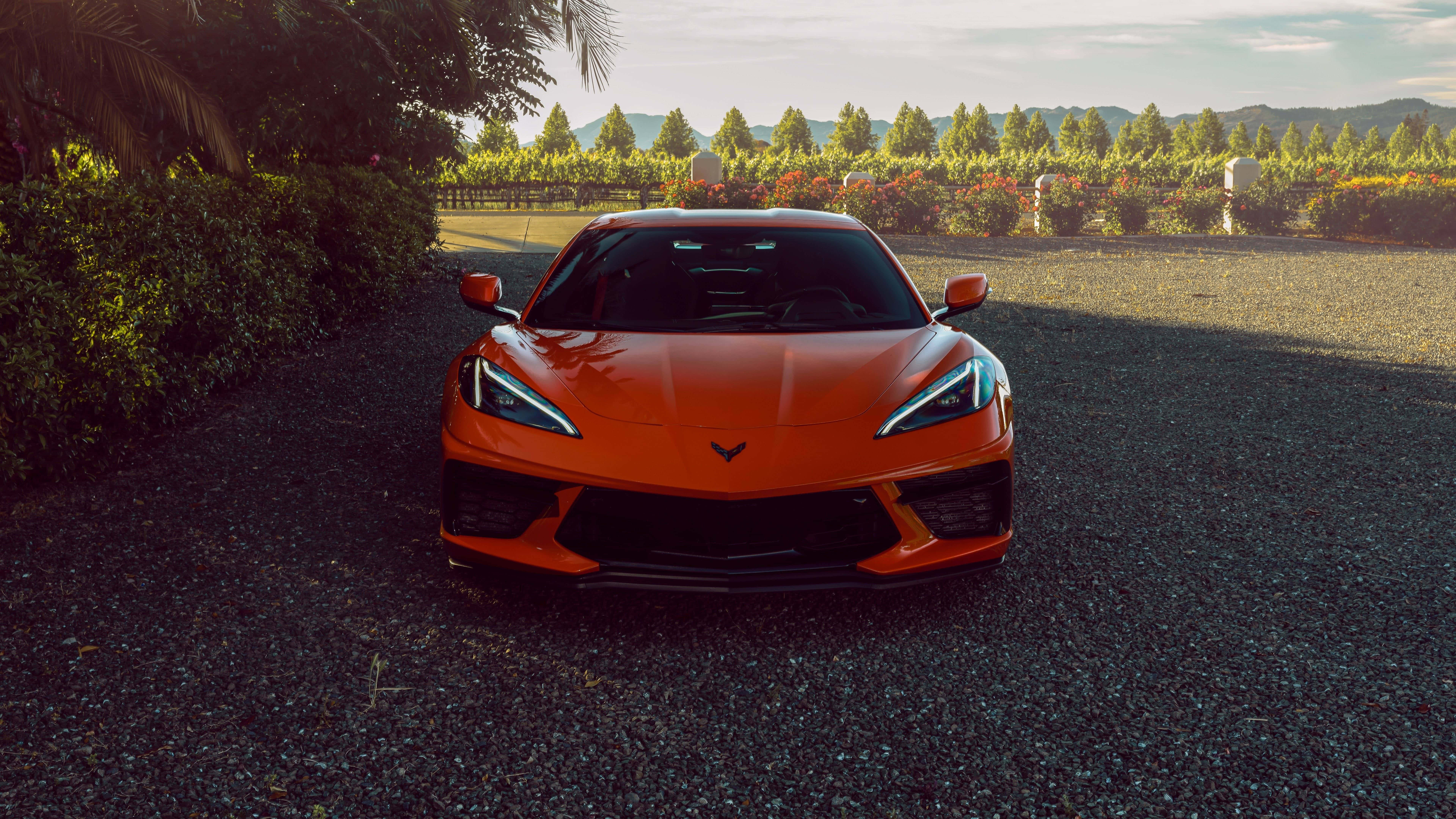 Chevrolet Corvette C8, orange, gravel, 8K Desktop Wallpaper