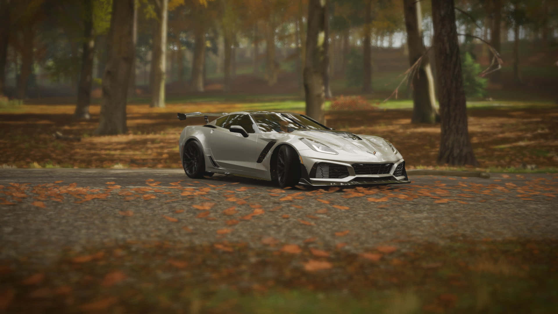 Chevrolet Corvette ZR1, silver, forest road, Full HD Desktop Wallpaper