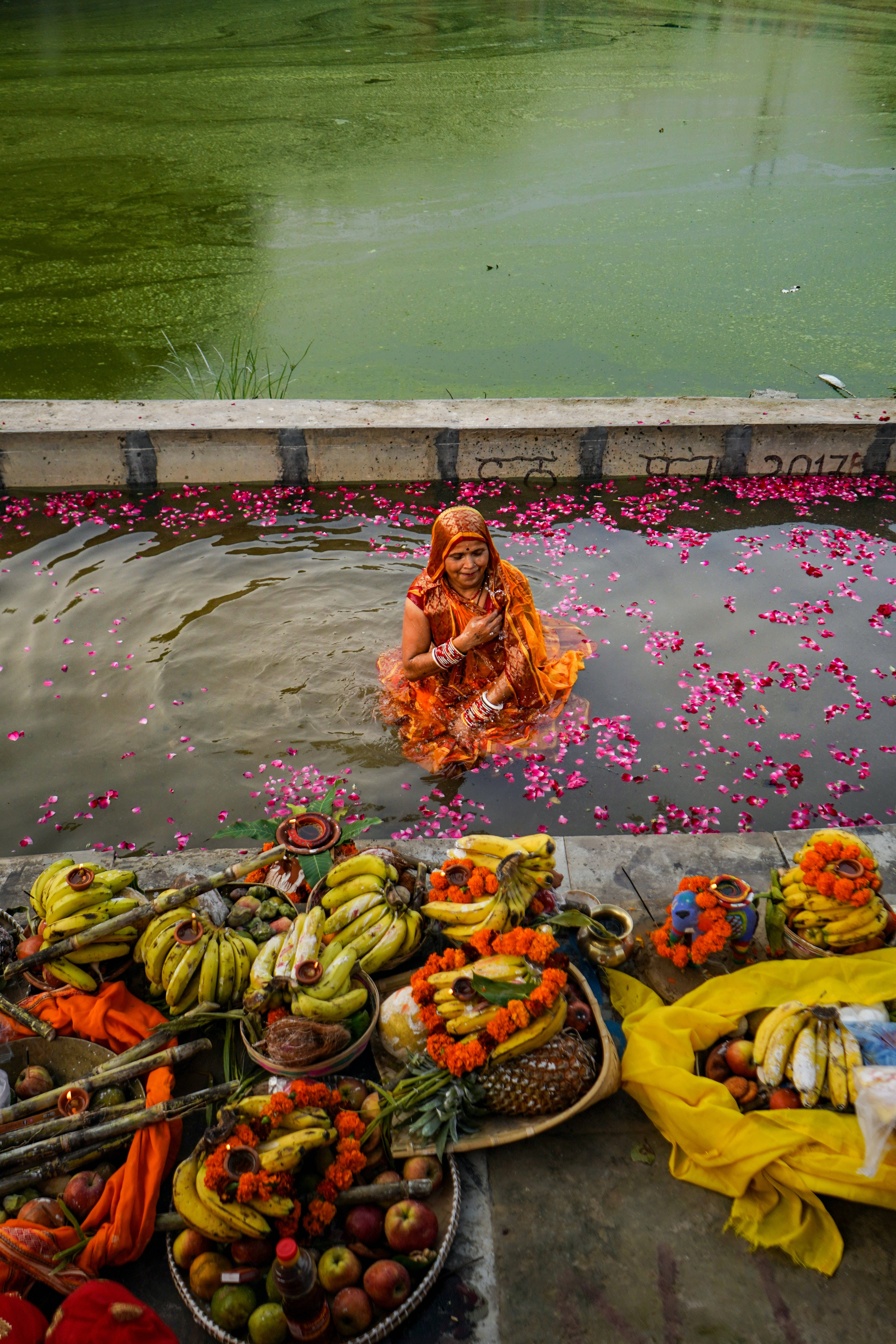 Chhath Puja, orange attire, green pond, 5K Phone Wallpaper