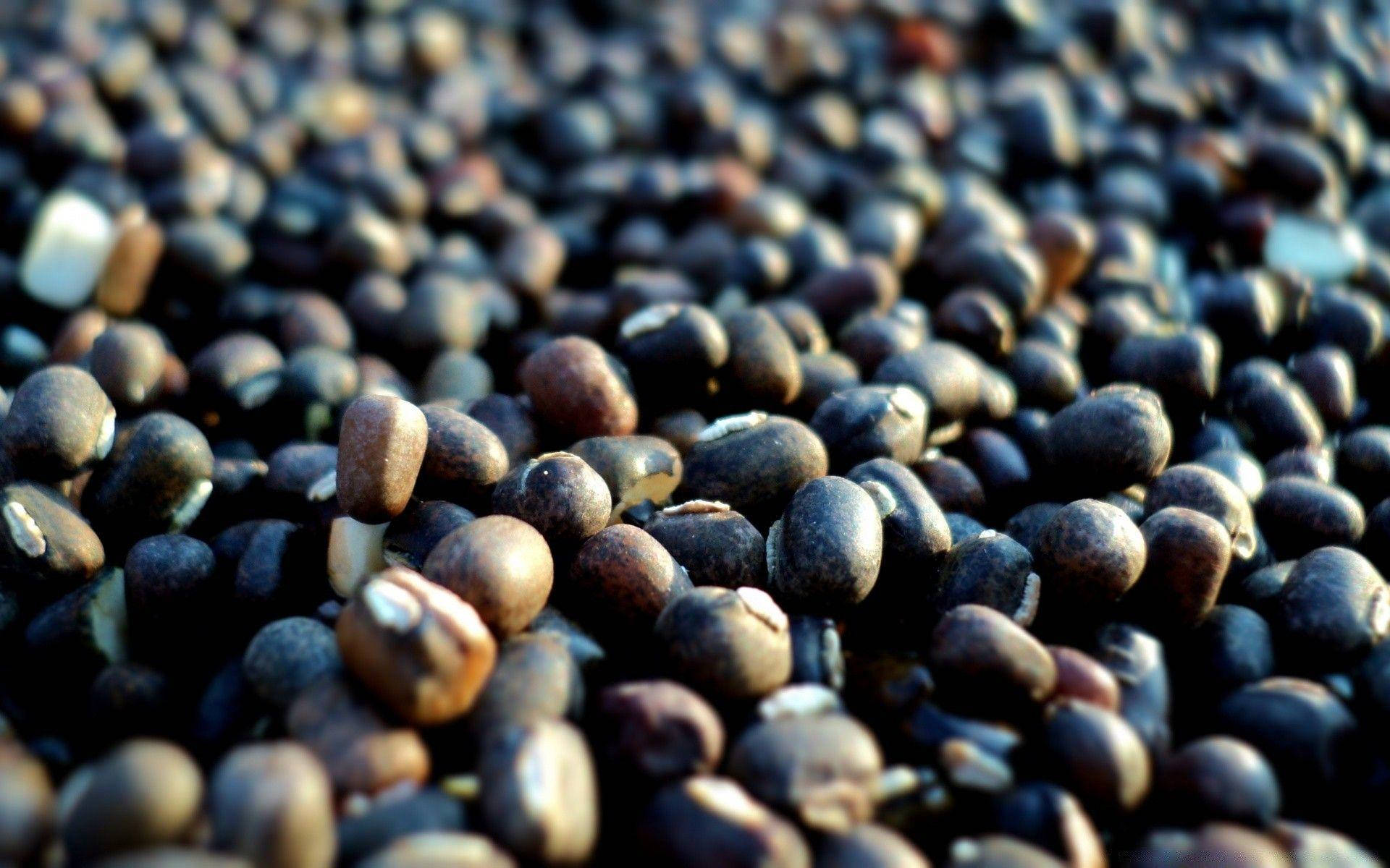 poppy seeds, chia seeds, dark brown, Full HD Desktop Wallpaper