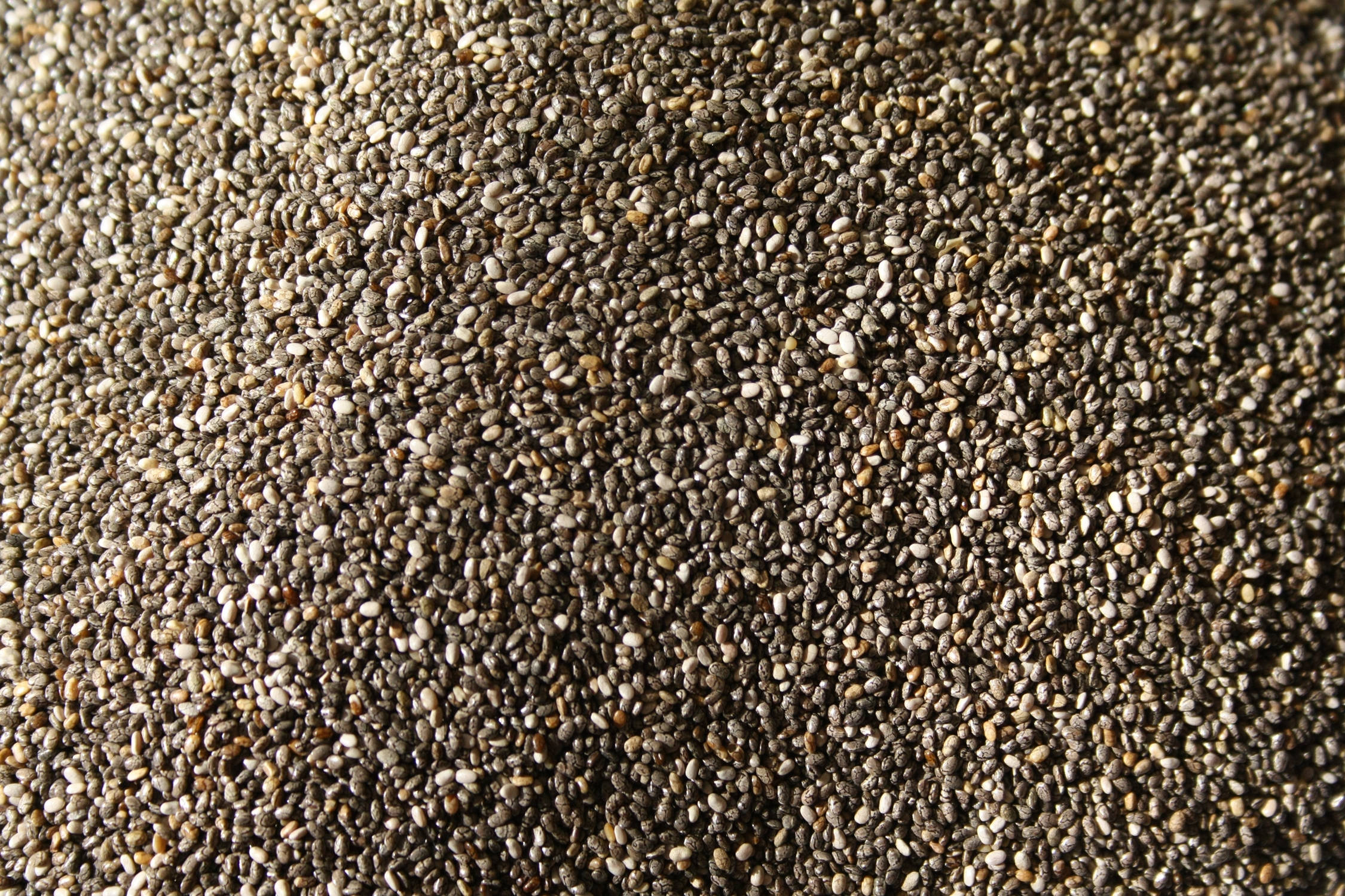 Chia Seeds, gray, white, Full HD Desktop Wallpaper