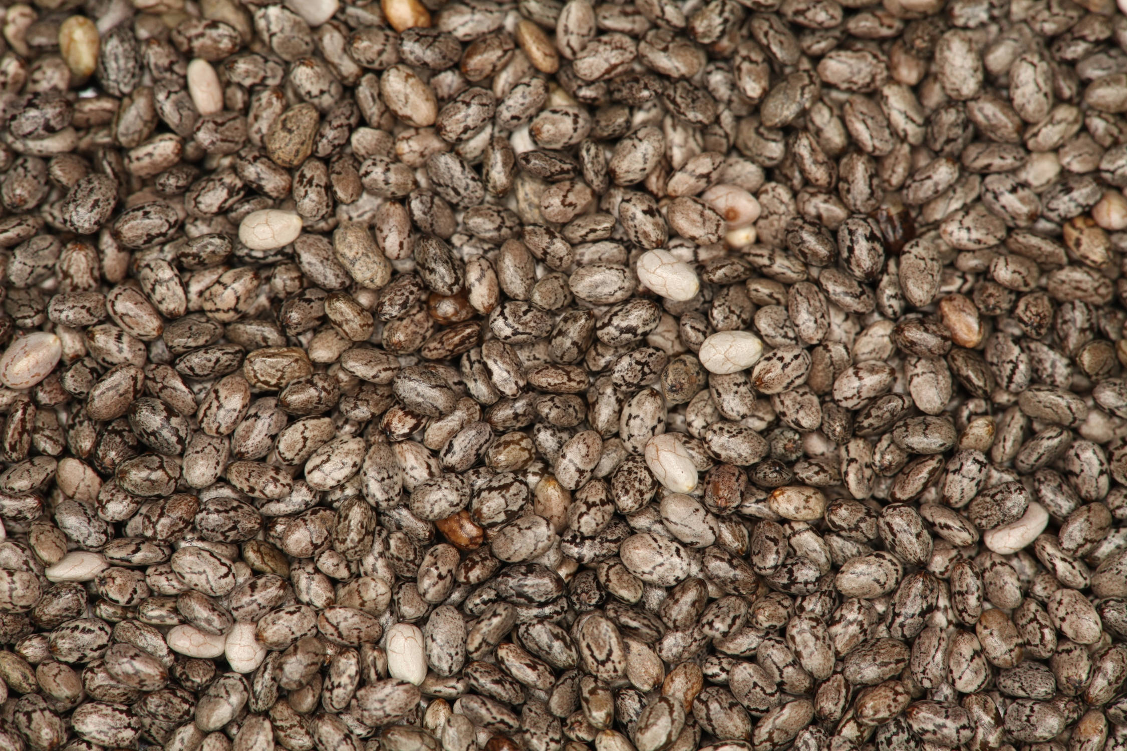 Chia Seeds Spread, earthy tones, textured chia seeds, Full HD Desktop Wallpaper