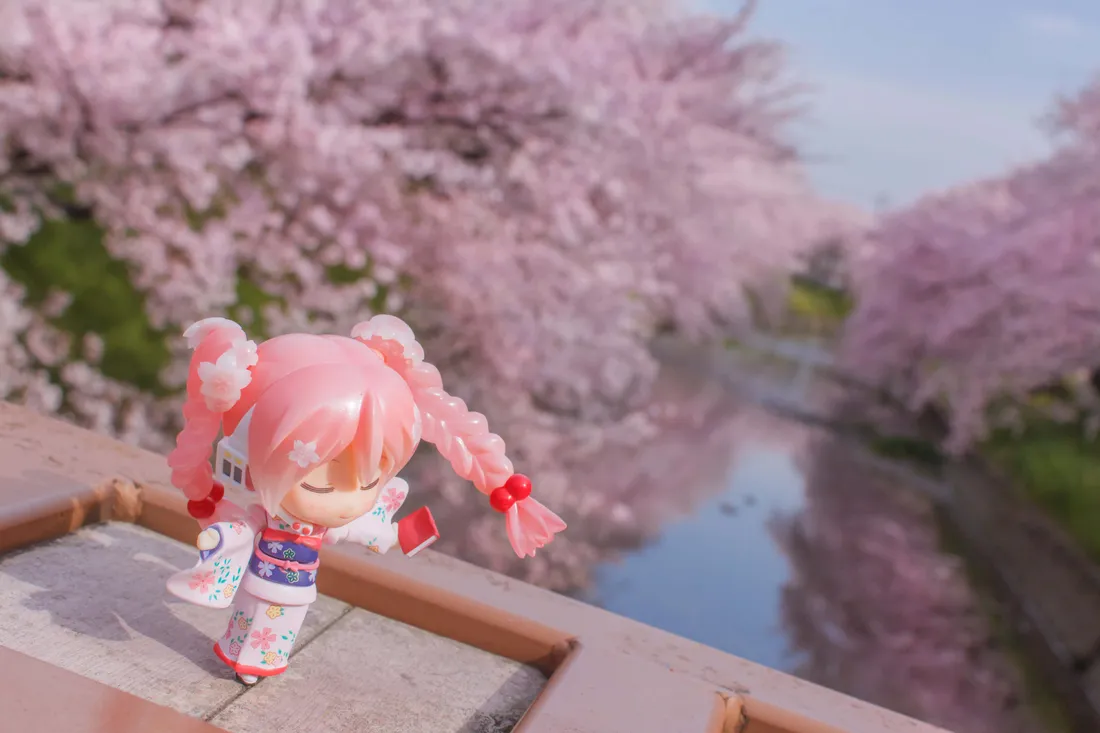 Chibi