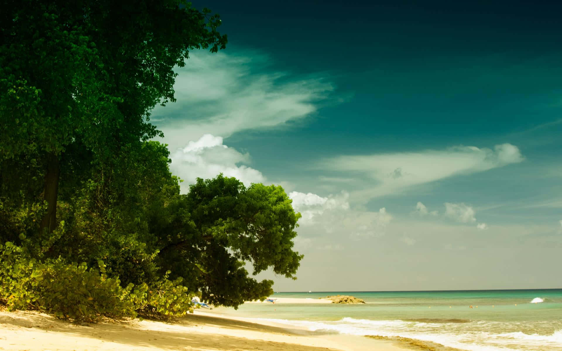 Chic Desktop, 1920 x 1200, lush green trees, Full HD Desktop Wallpaper