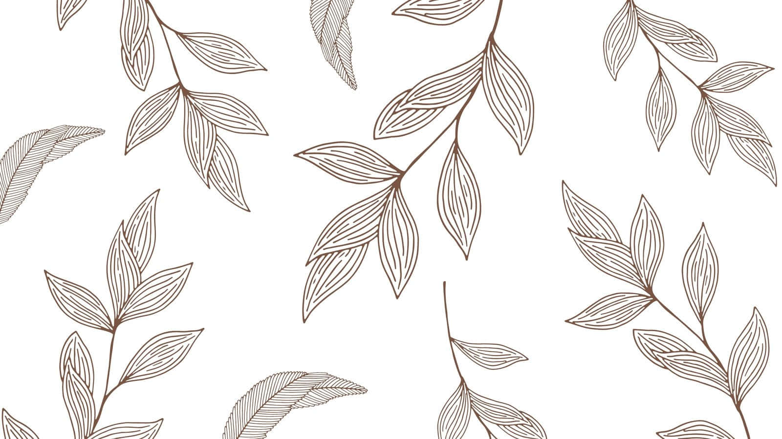 brown, white, leaf branches, HD Desktop Wallpaper