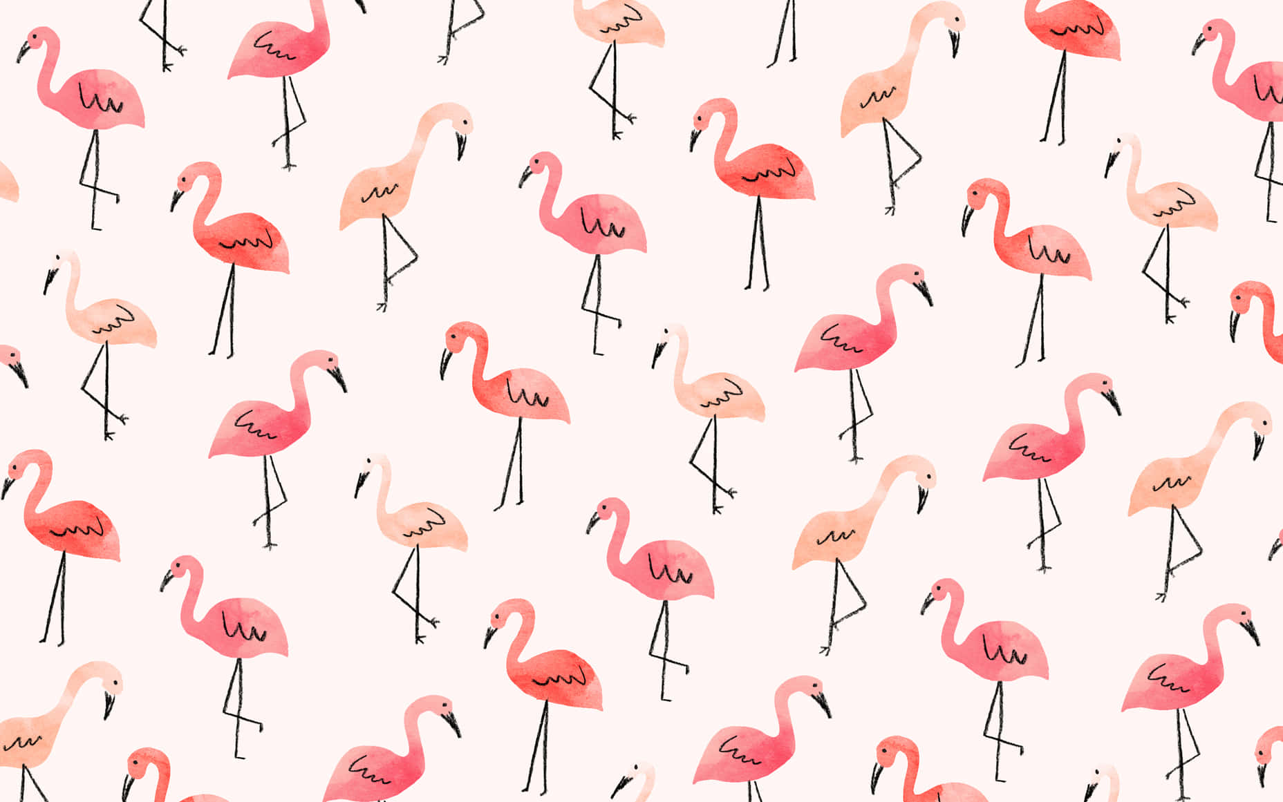 pink flamingos, black legs, soft beige background, HD Desktop Wallpaper