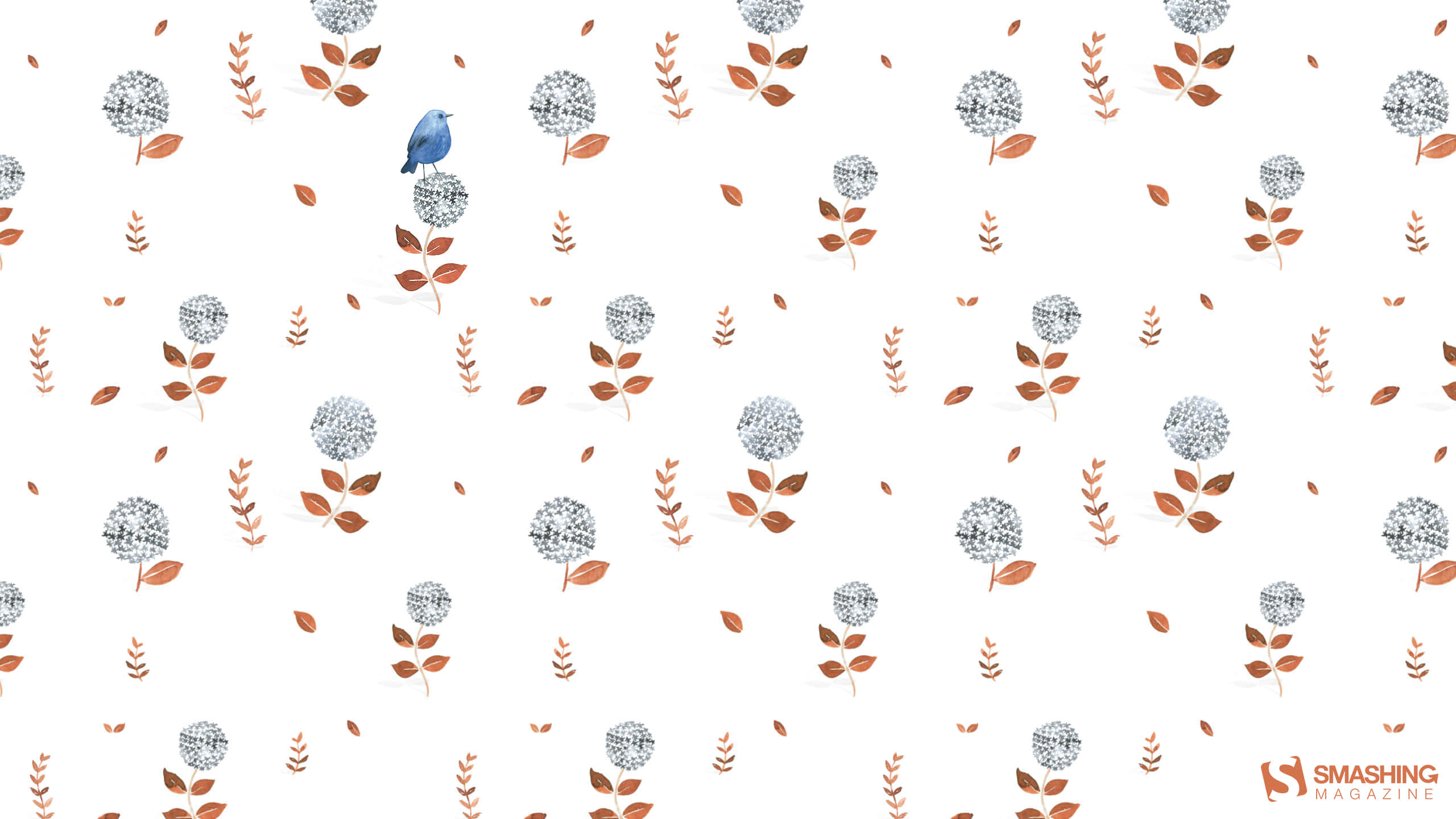 bluebird, hydrangea blooms, autumn leaves, 2K Desktop Wallpaper