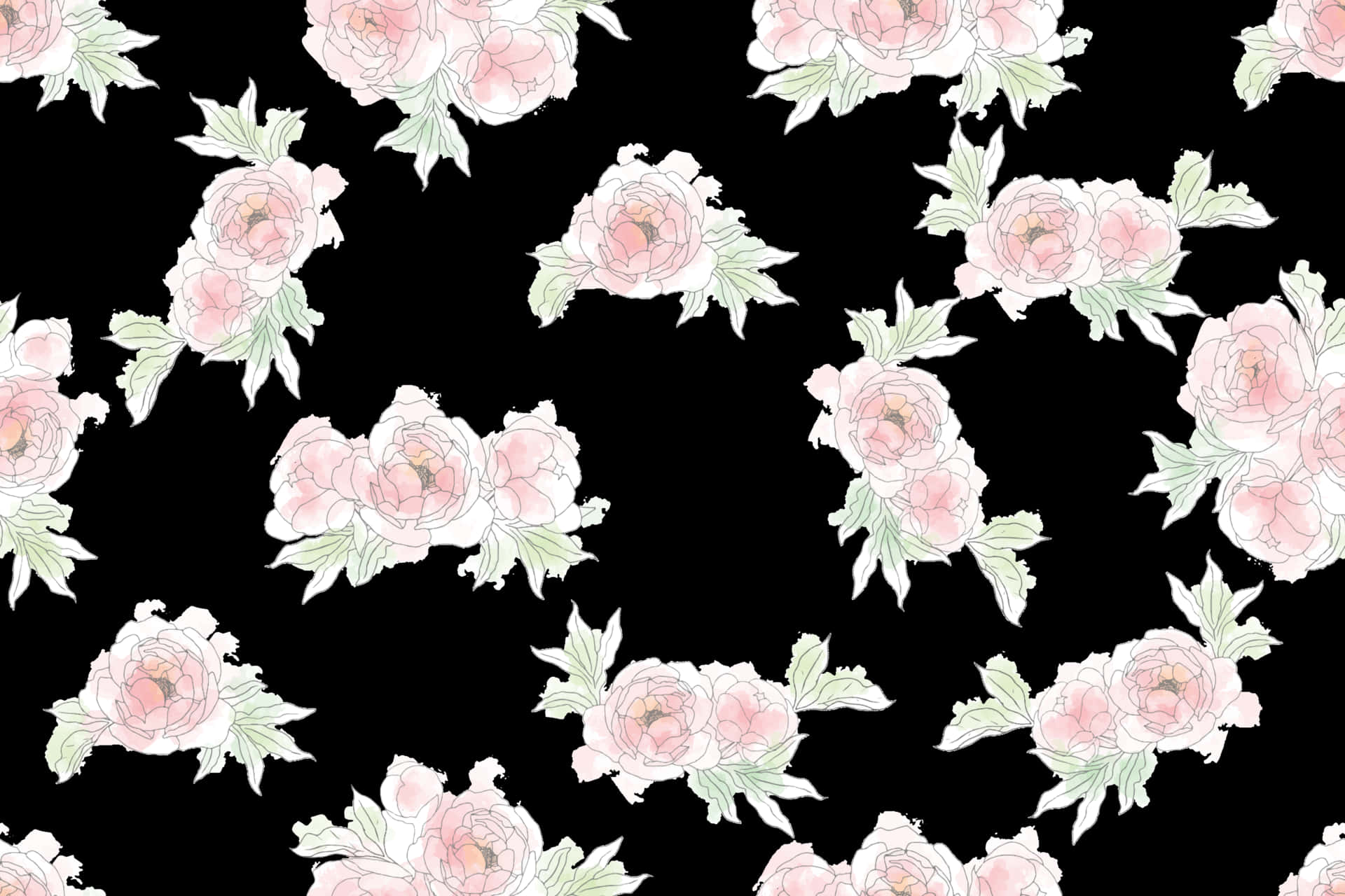 pink peonies, light green leaves, stark black background, Full HD Desktop Wallpaper