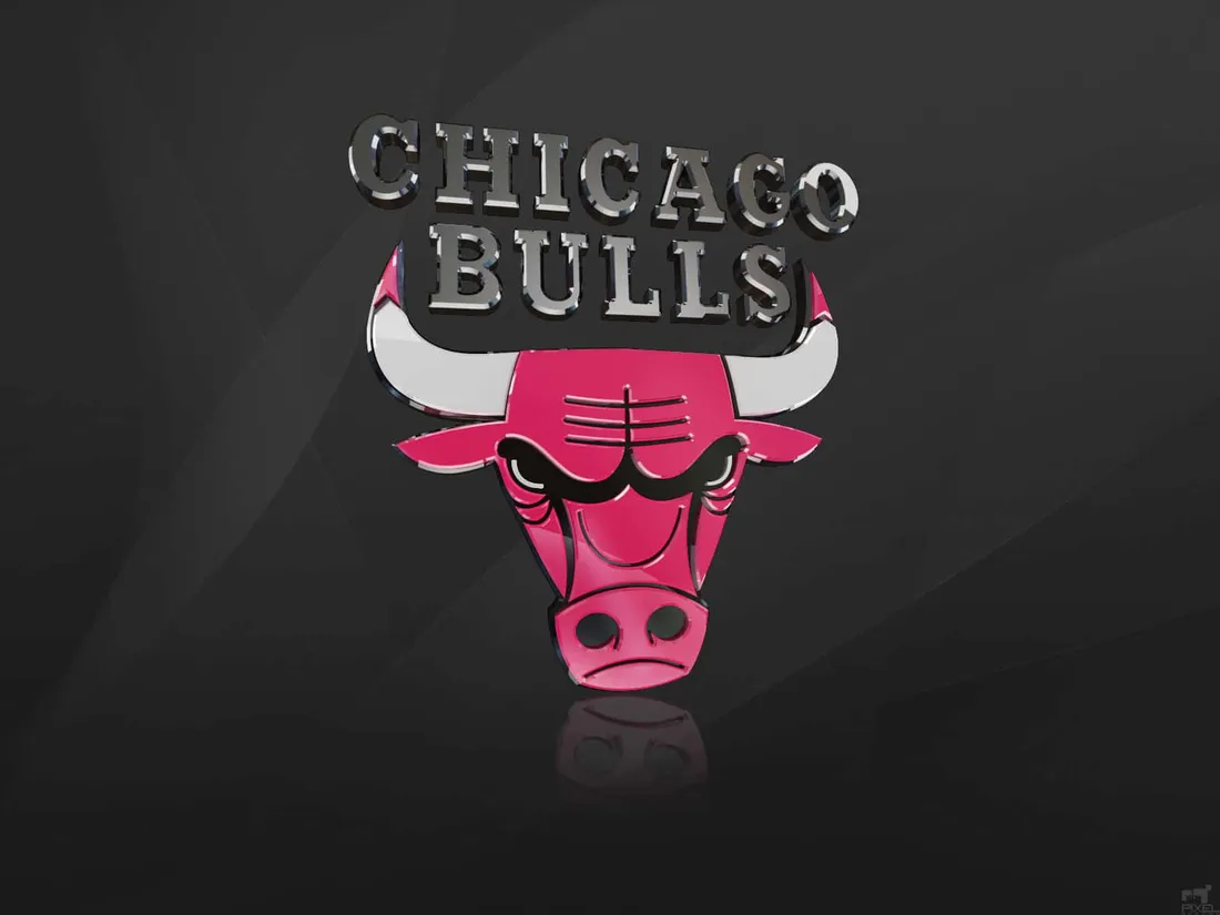 Chicago Bulls iPhone
