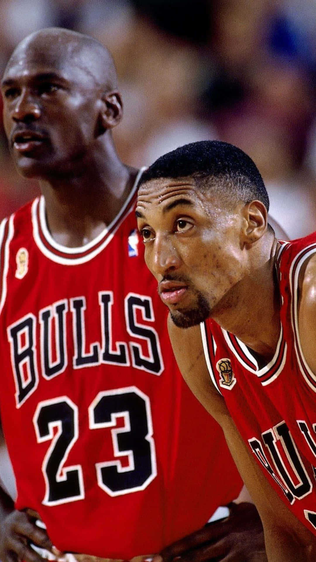 Chicago Bulls, iPhone, red jerseys, Full HD Phone Wallpaper