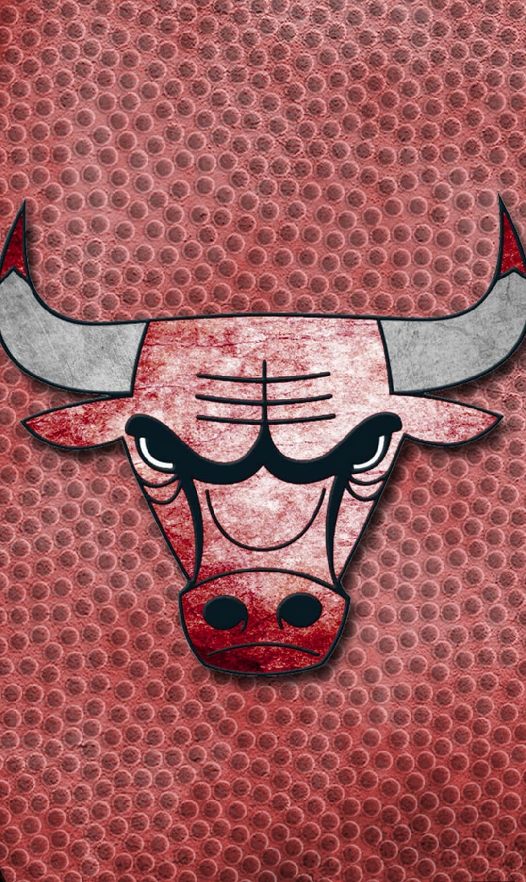 Chicago Bulls, bull logo, silver horns, HD Phone Wallpaper