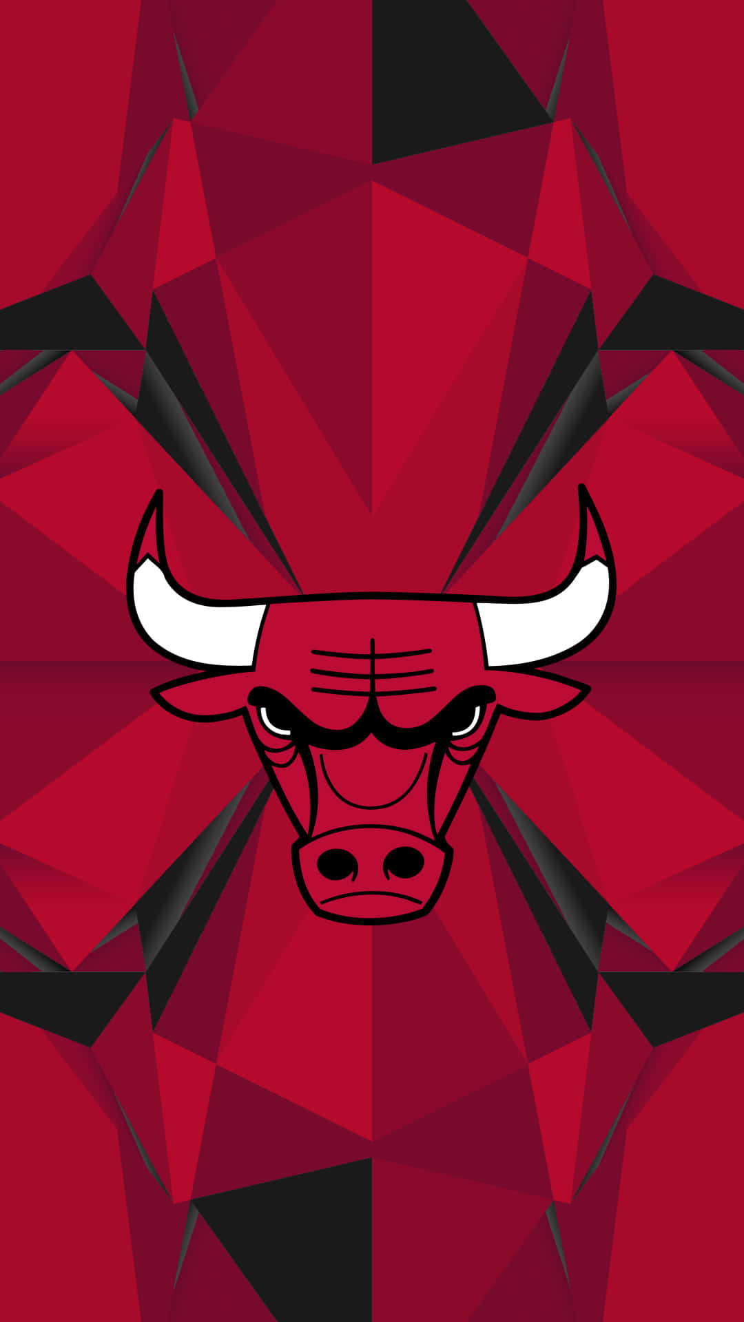 Chicago Bulls, bull head, white horns, Full HD Phone Wallpaper