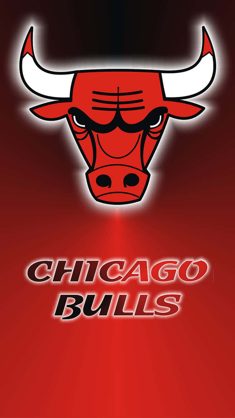 Chicago Bulls, red Chicago Bulls logo, stylized bull head, HD Phone Wallpaper