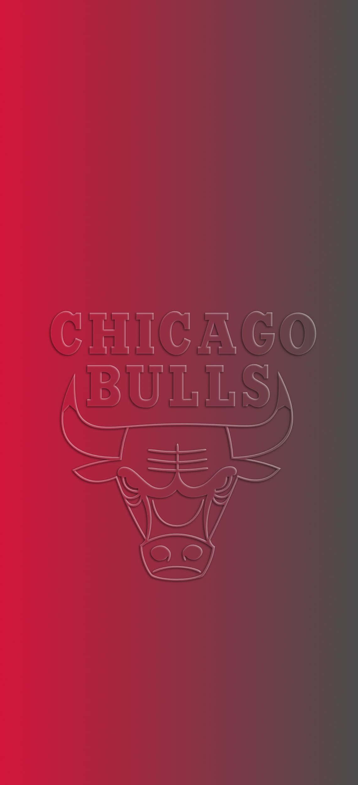 Chicago Bulls, iPhone, silver, Full HD Phone Wallpaper