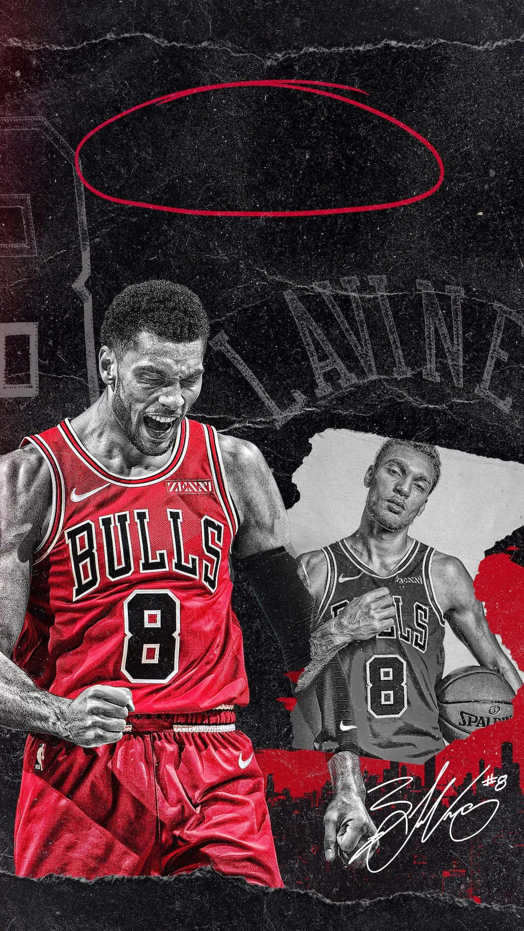 Chicago Bulls, red Bulls jersey, gray jersey, Full HD Phone Wallpaper