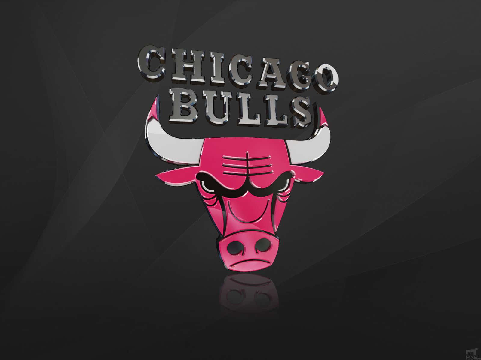 Chicago Bulls, pink, silver, HD Desktop Wallpaper