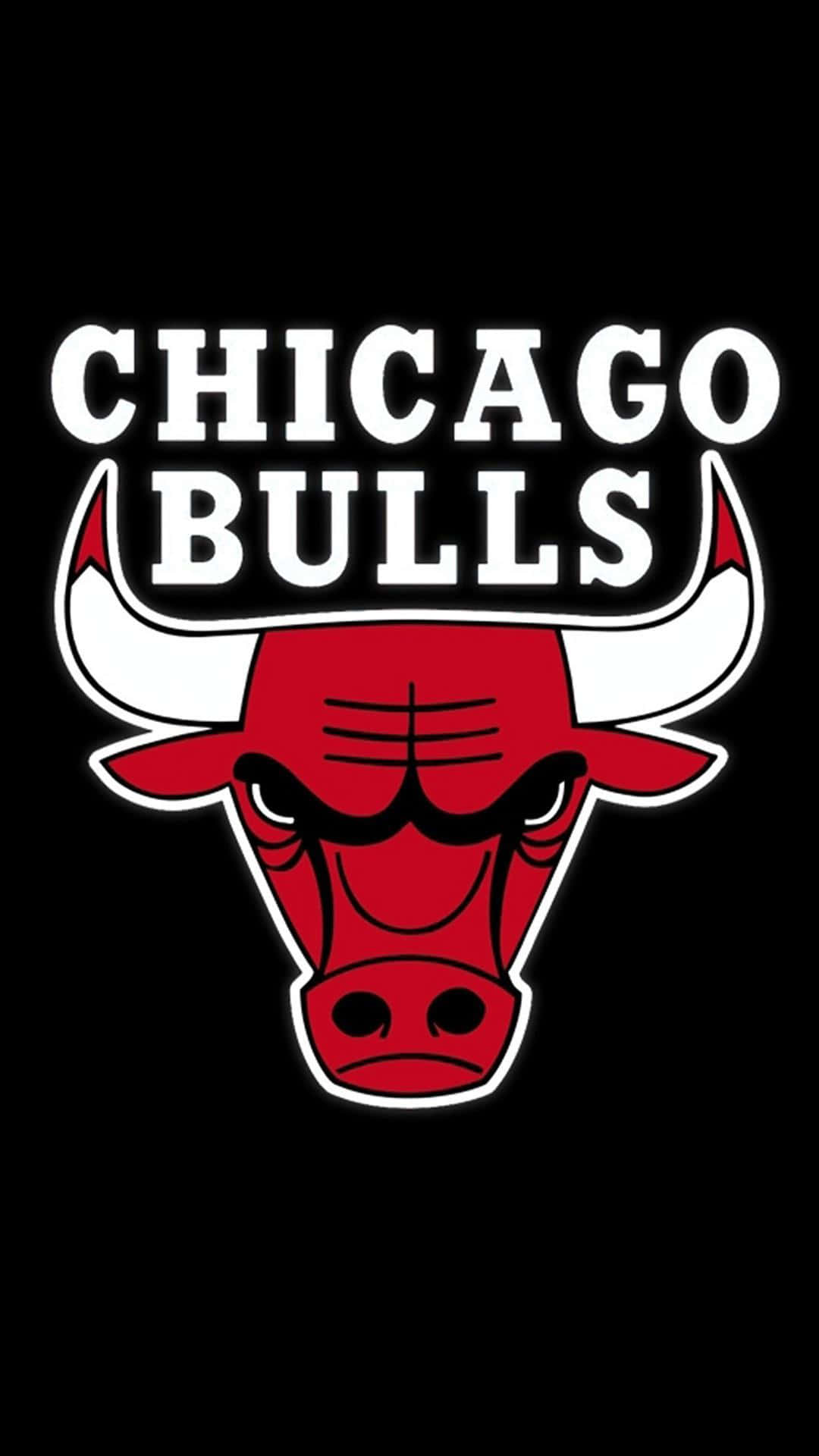 Chicago Bulls, red bull head, white horns, Full HD Phone Wallpaper