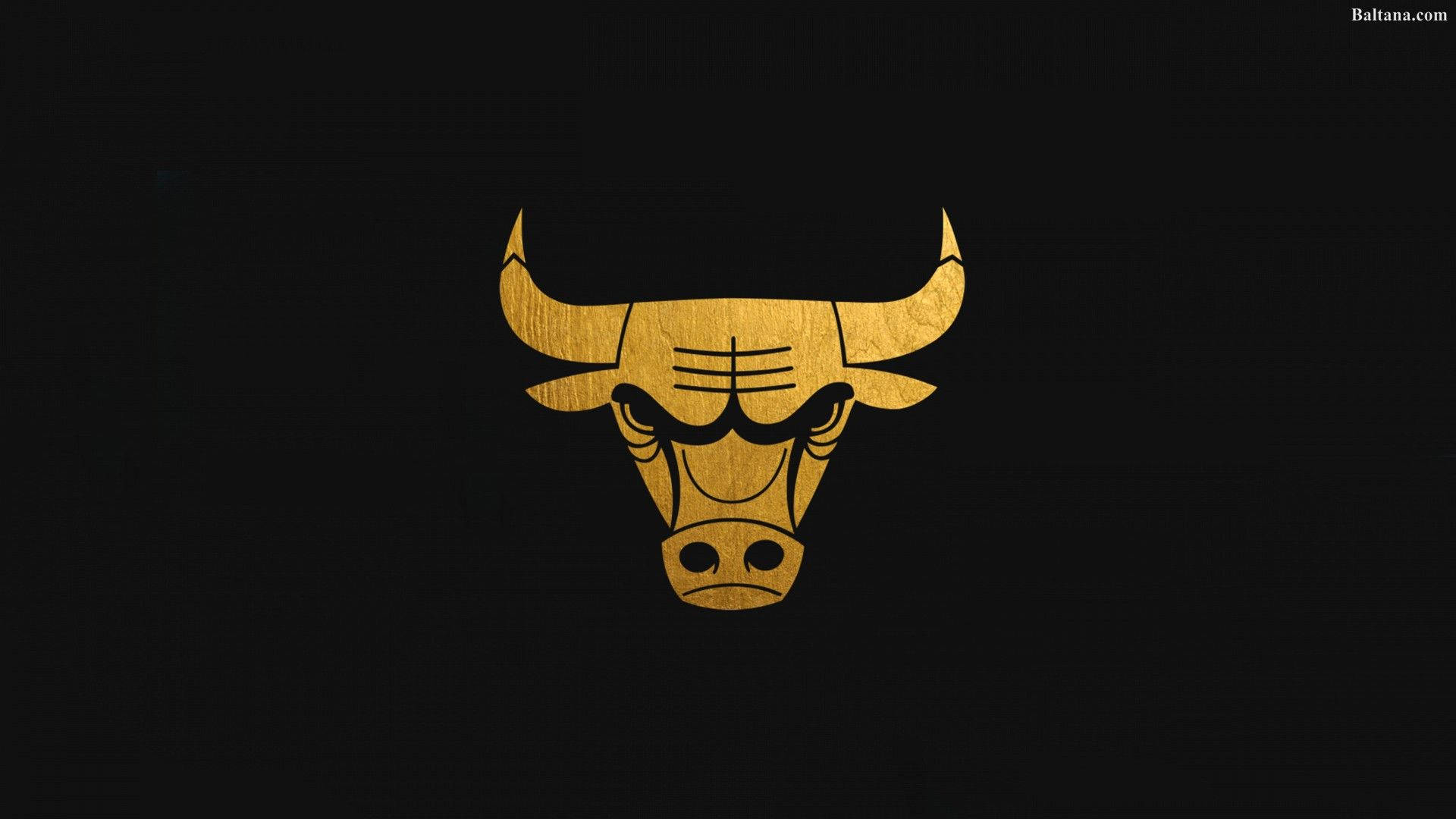 Chicago Bulls, gold logo, bull head, Full HD Desktop Wallpaper