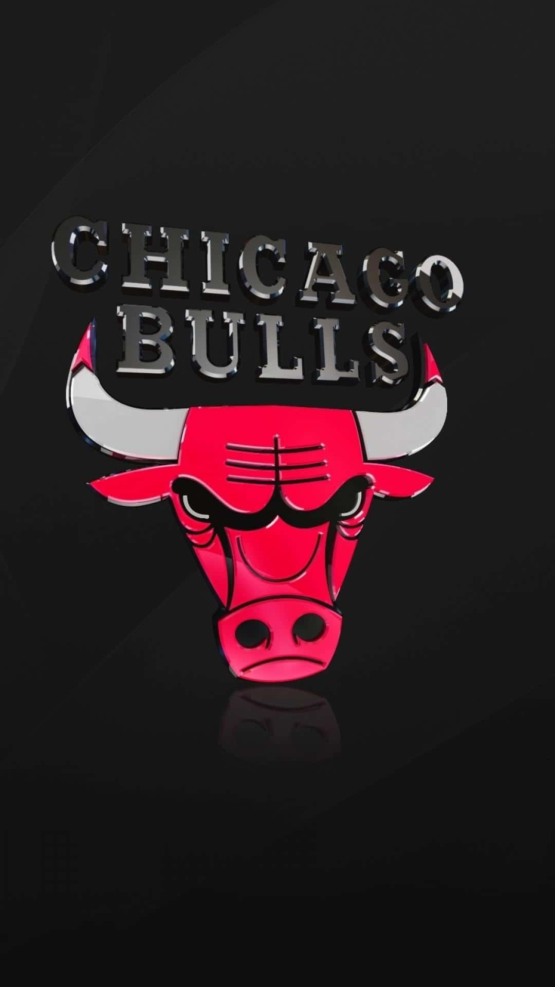 Chicago Bulls, red Chicago Bulls logo, chrome text, Full HD Phone Wallpaper