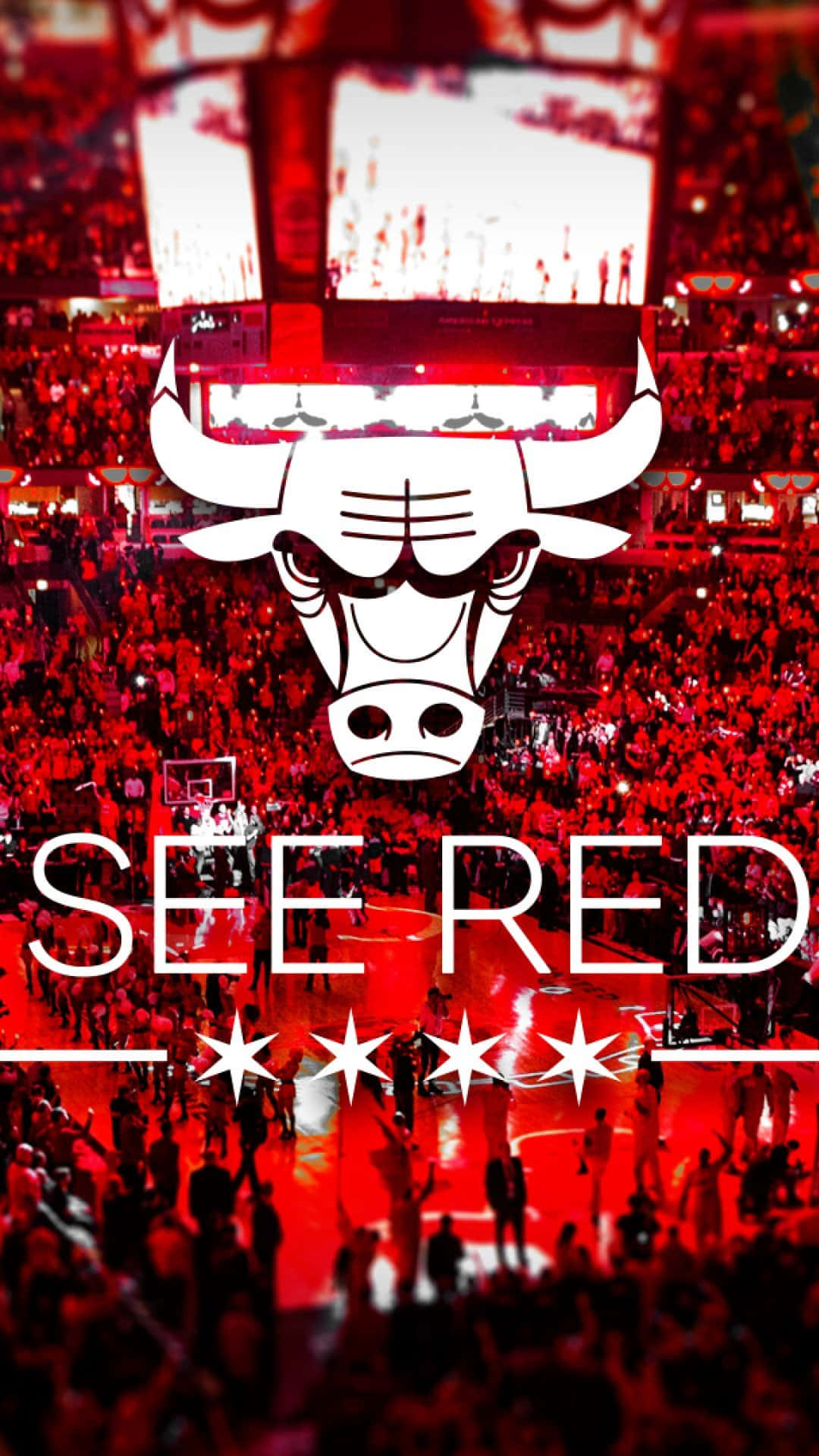 Chicago Bulls, red-lit basketball arena, cheering fans, Full HD Phone Wallpaper