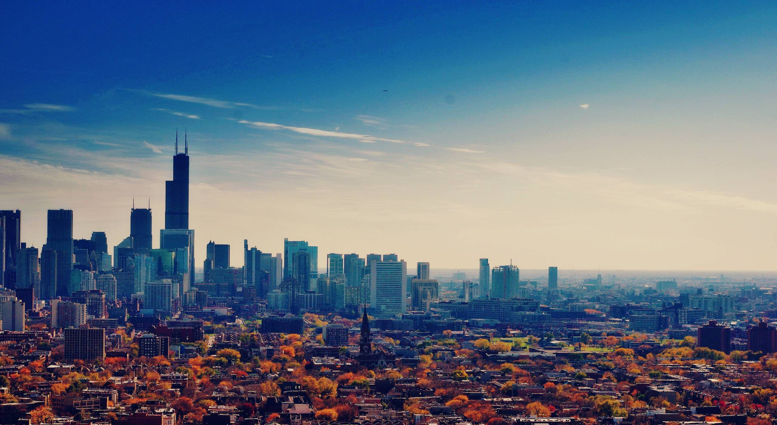 Chicago, maple trees, skyline, 2K Desktop Wallpaper