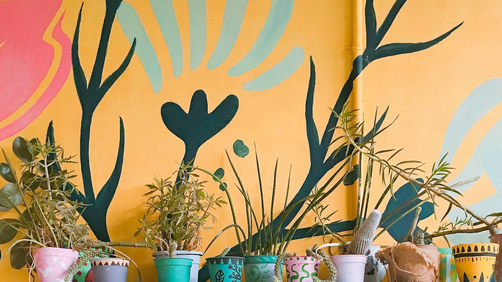 Chicano, vibrant potted plants, colorful mural wall, Full HD Desktop Wallpaper