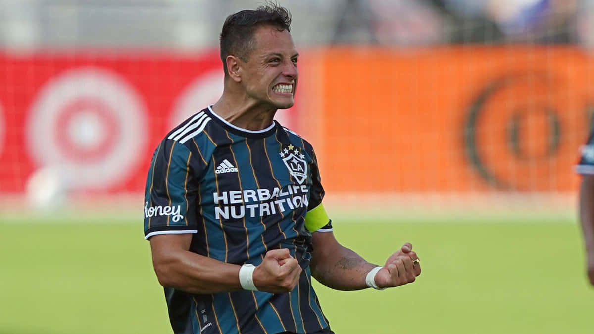 Chicharito, dark striped jersey, bright green field, SD Desktop Wallpaper