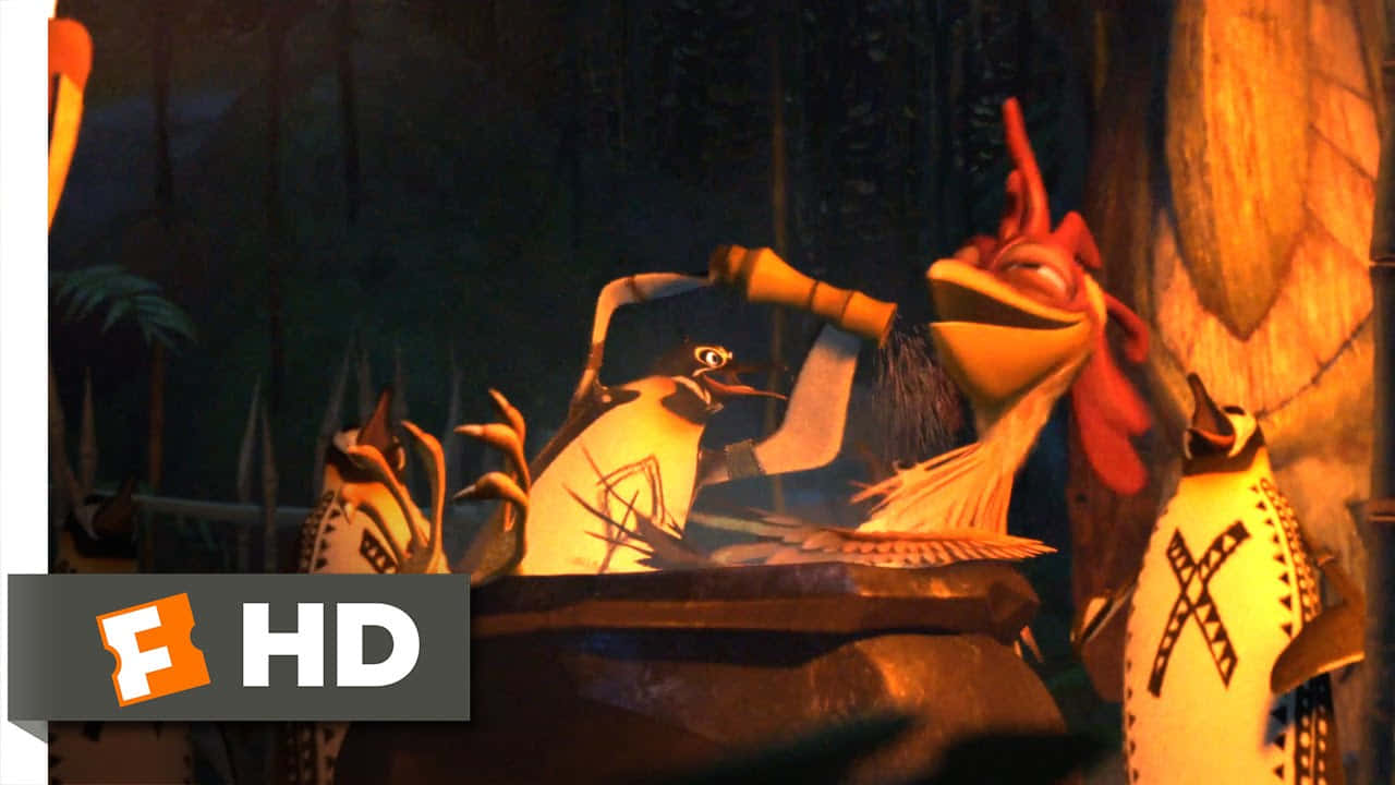 Chicken Joe, red comb, yellow beak, HD Desktop Wallpaper
