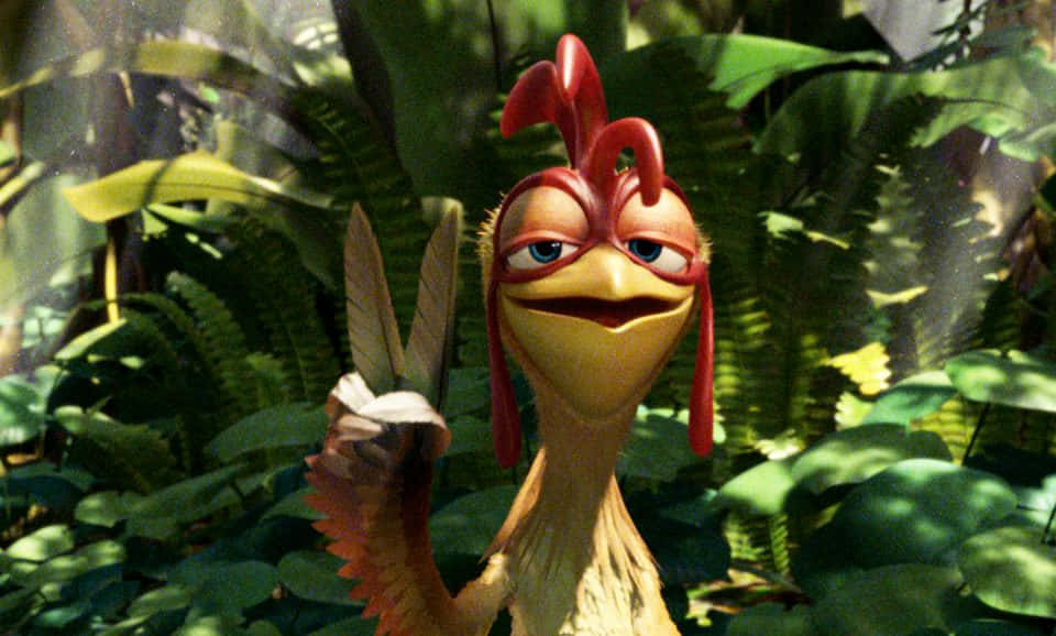 Chicken Joe, jungle, red comb, SD Desktop Wallpaper