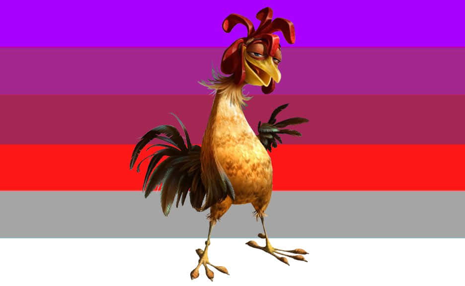 Chicken Joe, animated surfer, red comb, SD Desktop Wallpaper