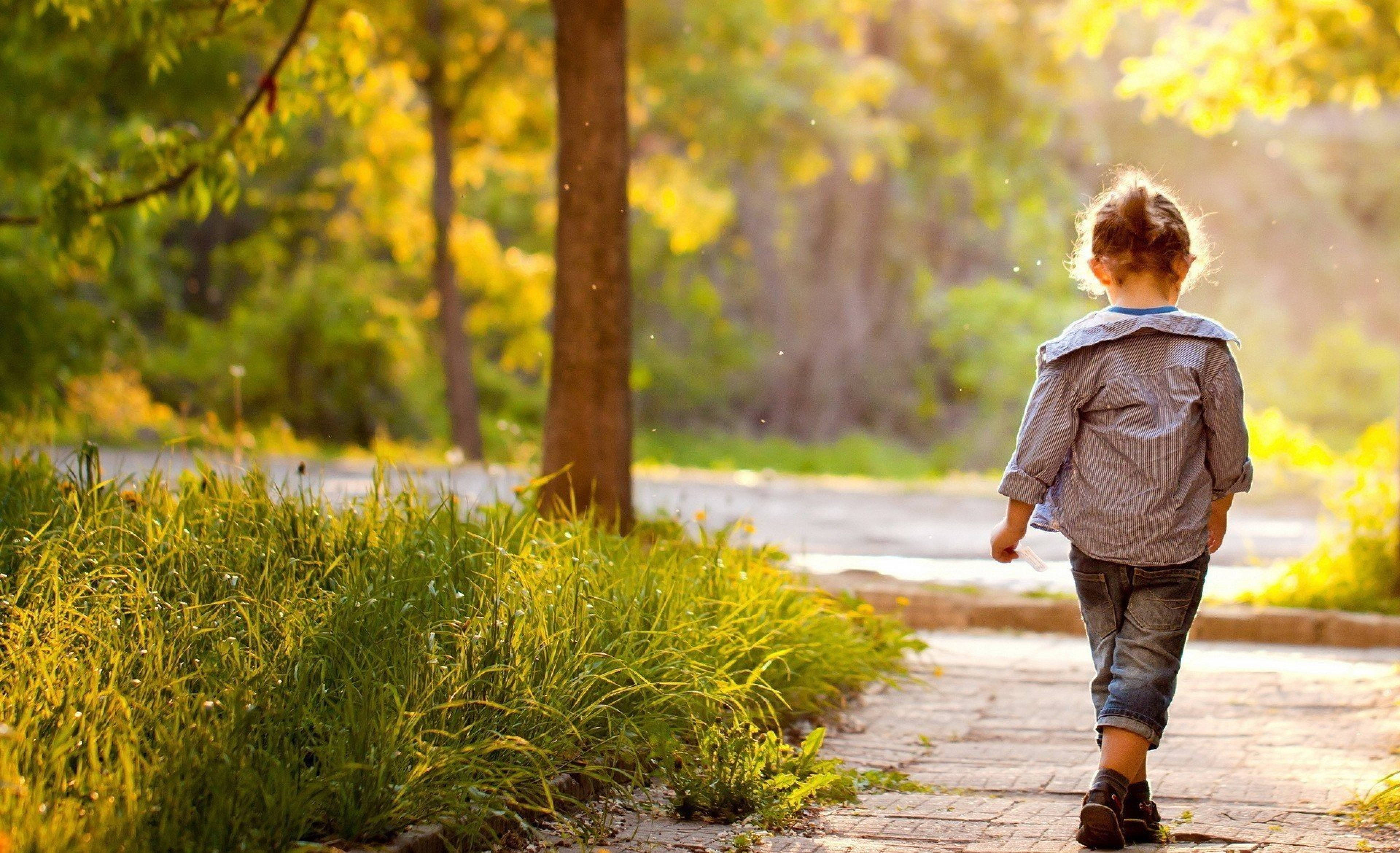 child, sunny day, autumn forest, 4K Desktop Wallpaper