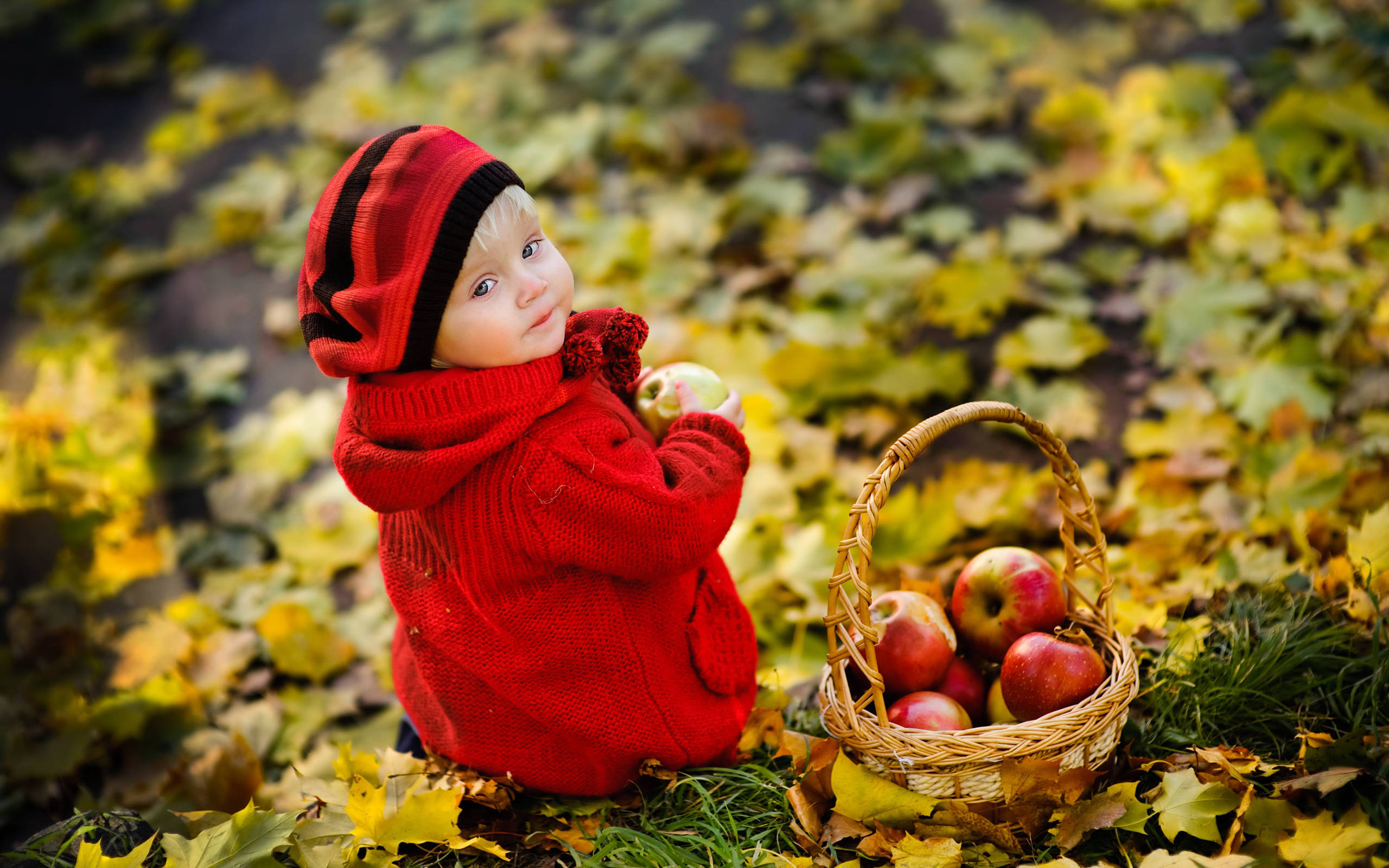 child, red knit outfit, golden autumn leaves, 2K Desktop Wallpaper