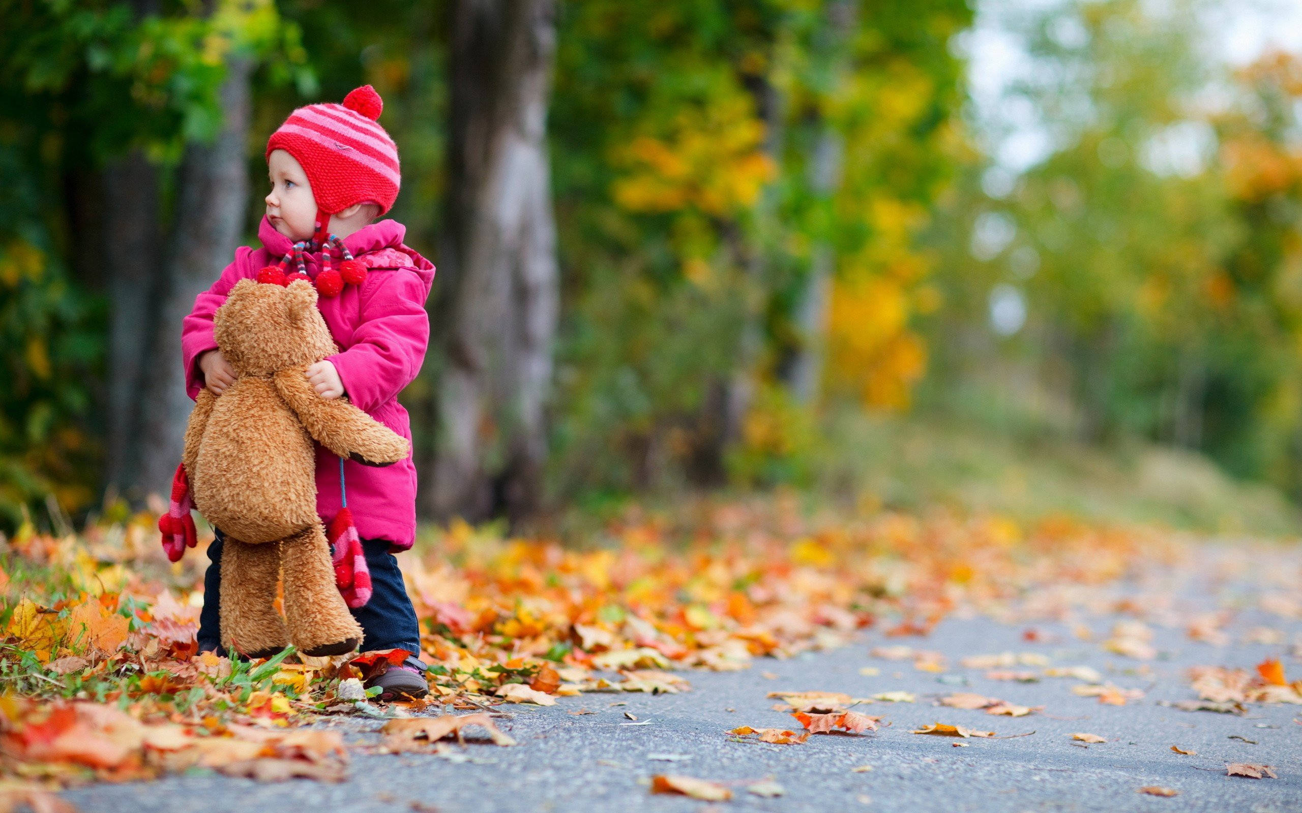 child, teddy bear, pink coat, 2K Desktop Wallpaper
