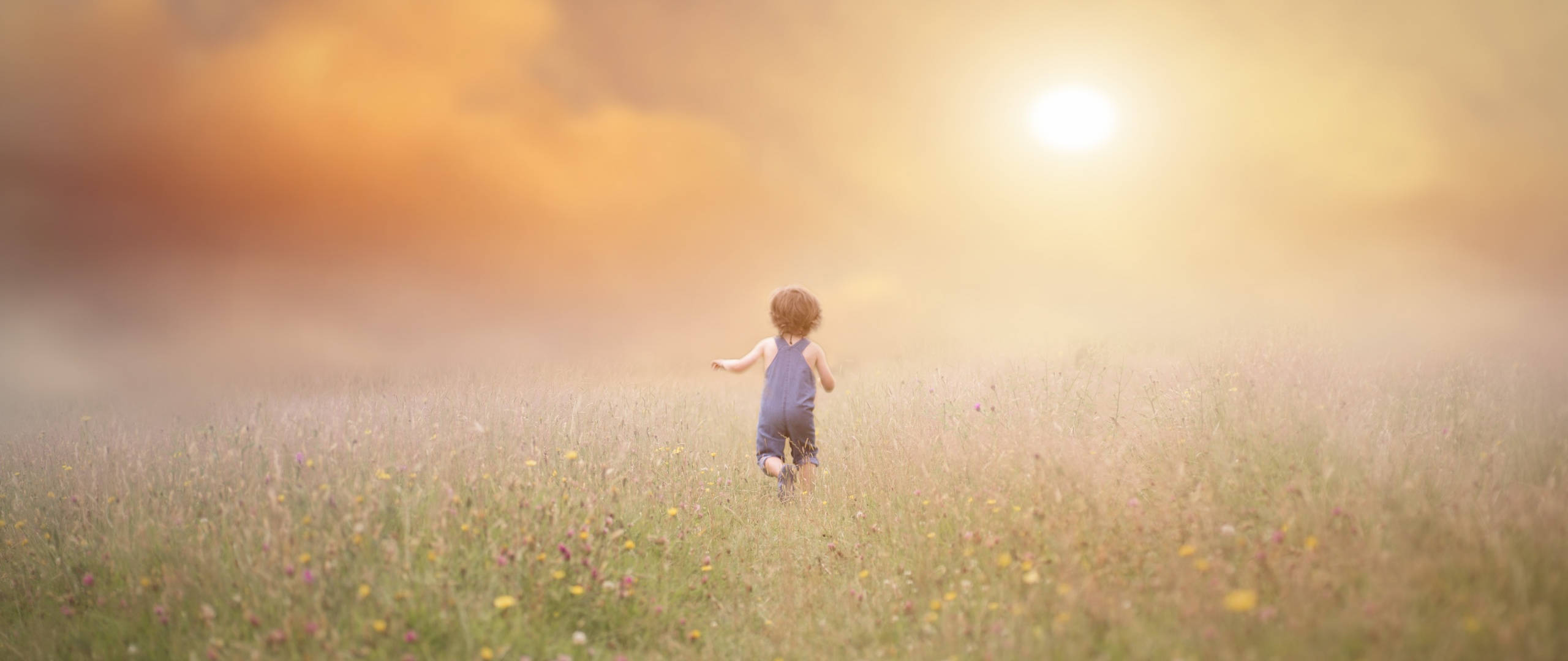 child, sunlit field, tall grass, 2K Desktop Wallpaper