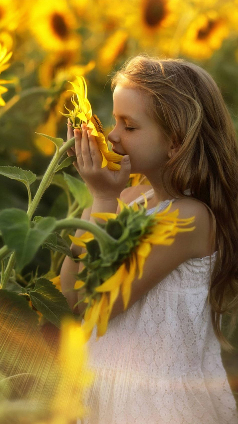 girl child, white dress, sunflower, HD Phone Wallpaper
