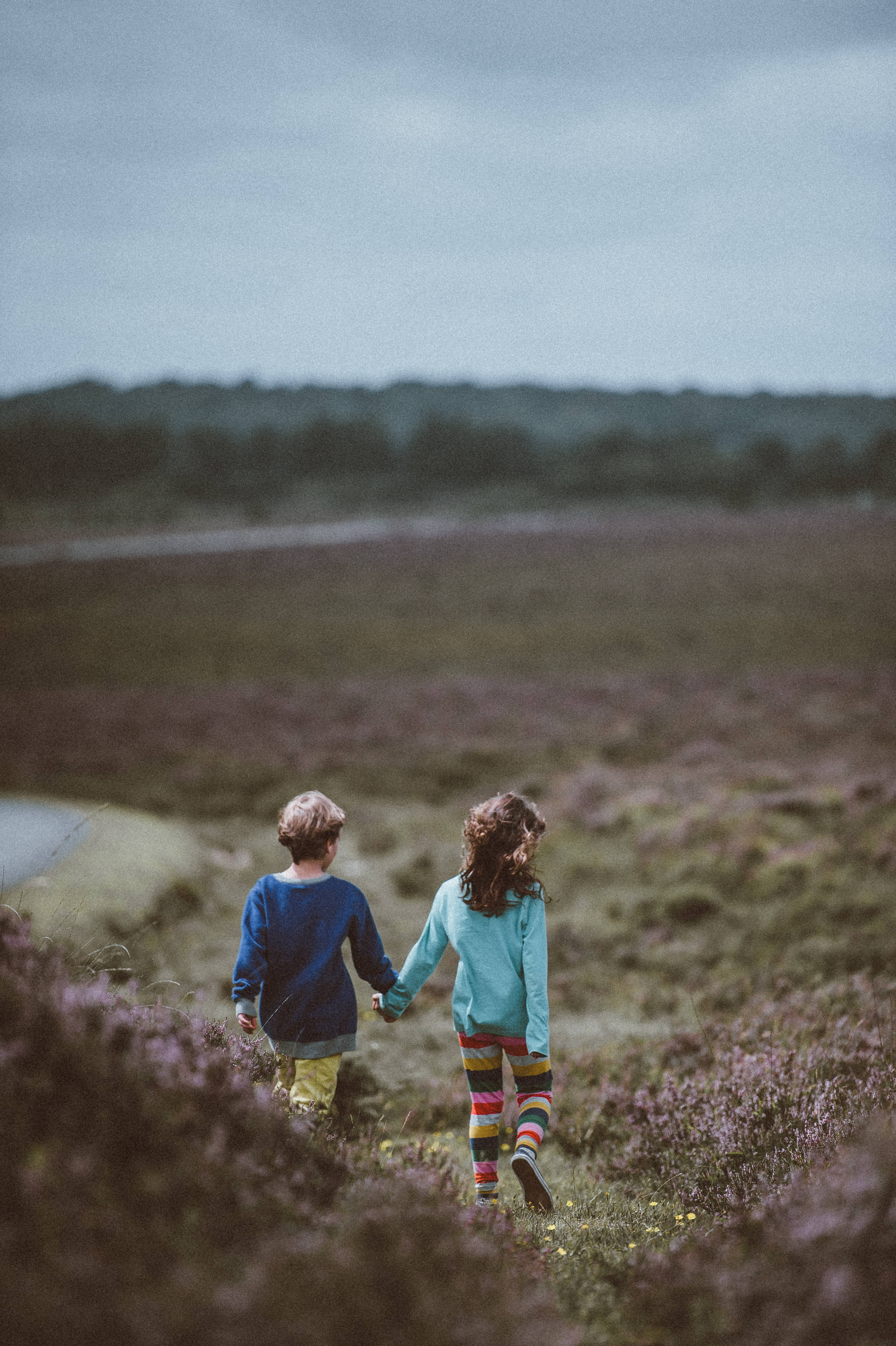 purple heather field, overcast sky, two children, 4K Phone Wallpaper