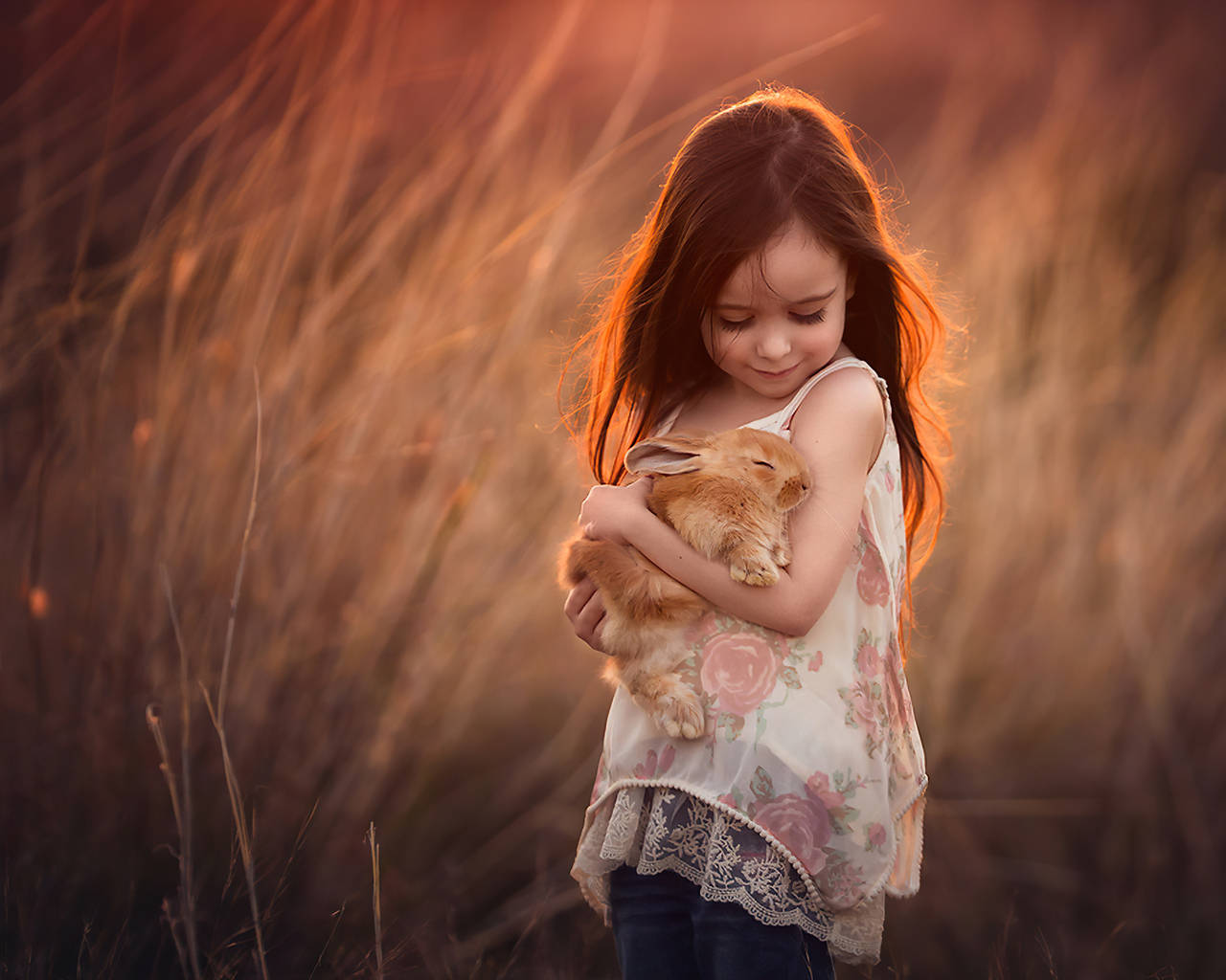 girl child, fluffy brown rabbit, field of tall grass, HD Desktop Wallpaper