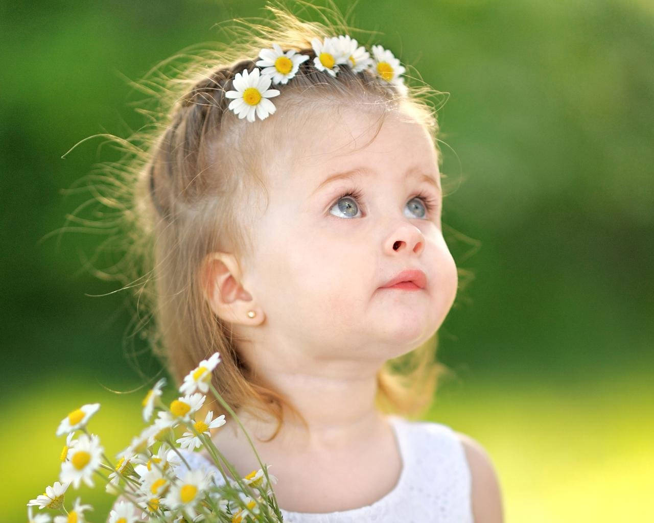 floral headdress, daisy crown, bouquet of daisies, HD Desktop Wallpaper
