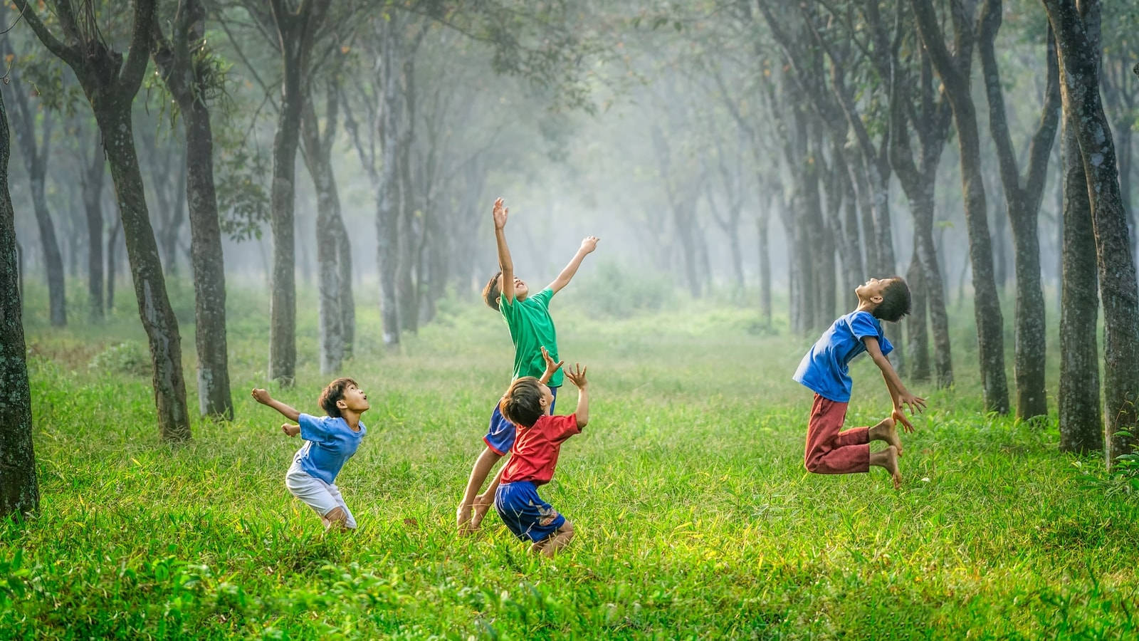 children, forest, misty green forest clearing, HD Desktop Wallpaper