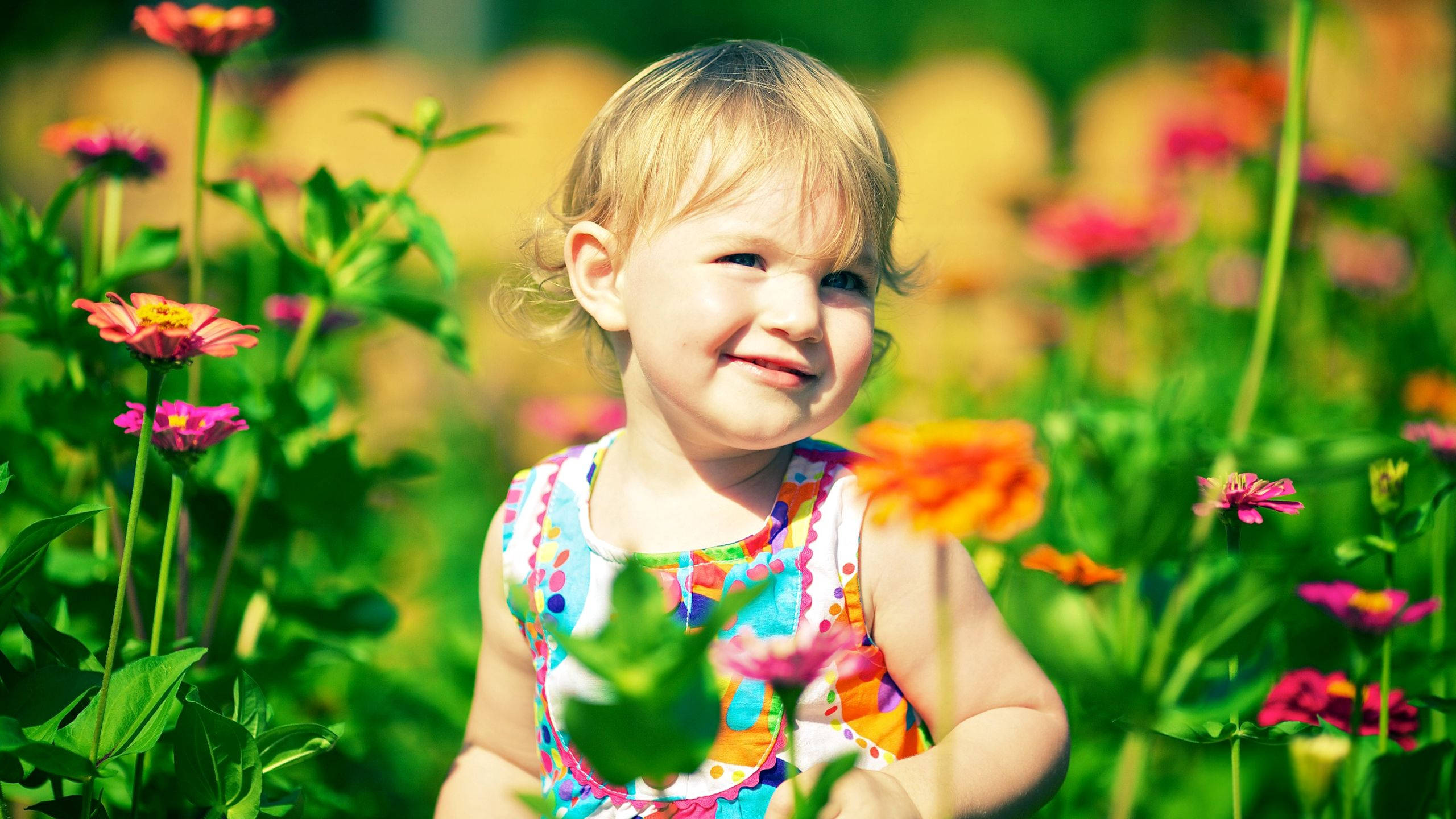 toddler, blonde hair, vibrant field of colorful zinnias, 2K Desktop Wallpaper