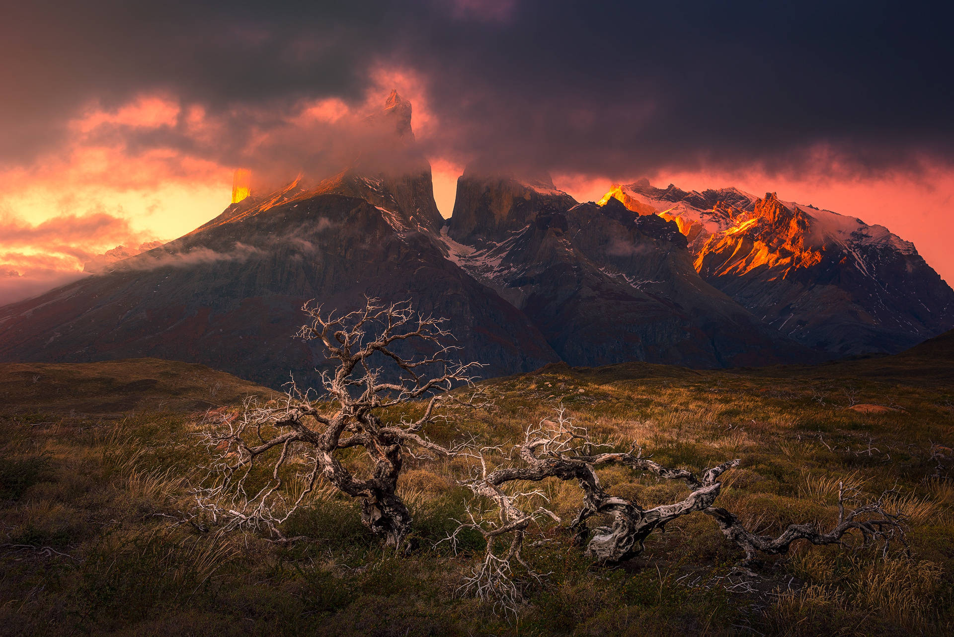 mountain range, fiery sunset hues, lone gnarled tree, Full HD Desktop Wallpaper