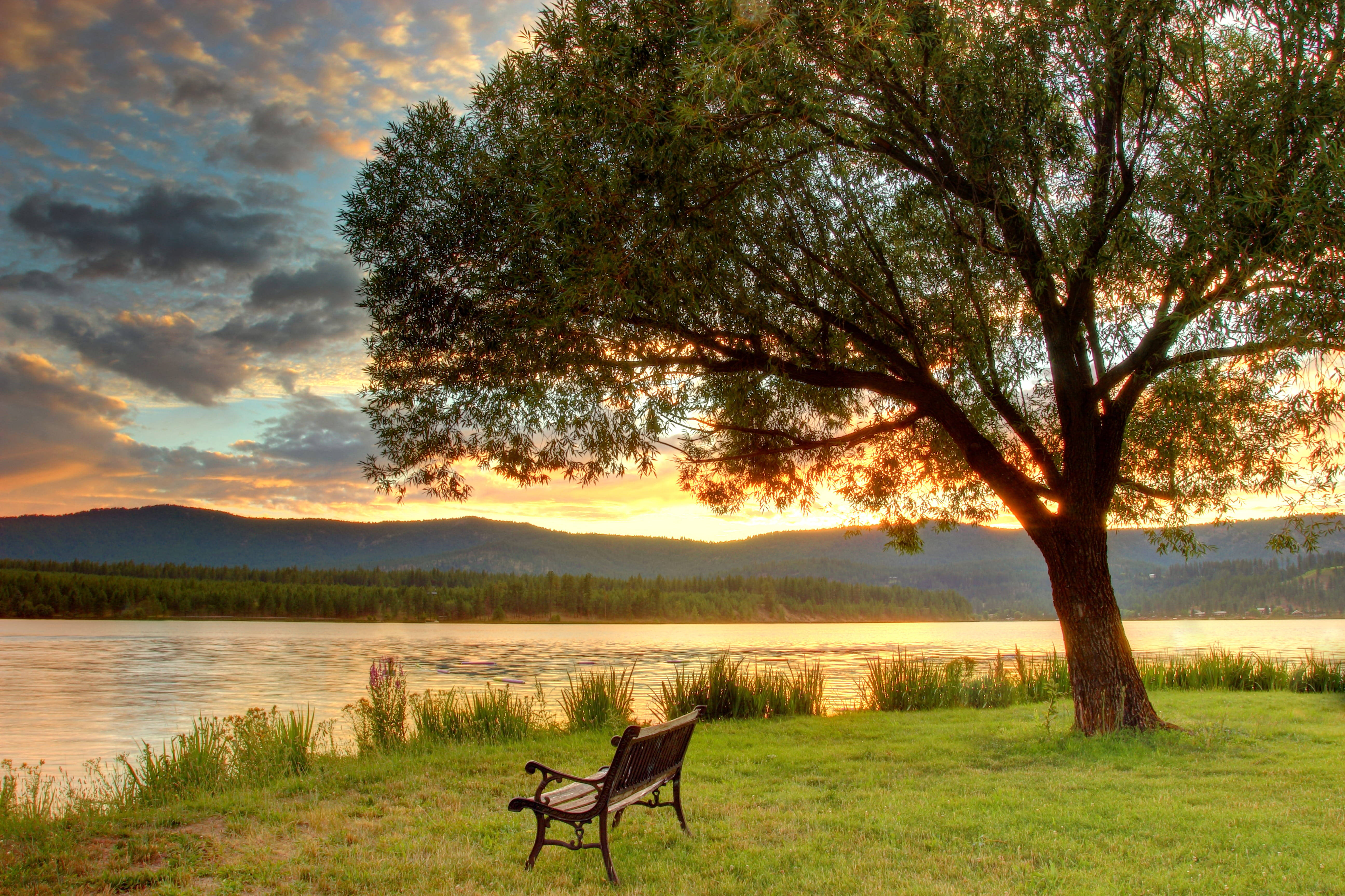 Chill 4K, farm river, wooden bench, 5K Desktop Wallpaper