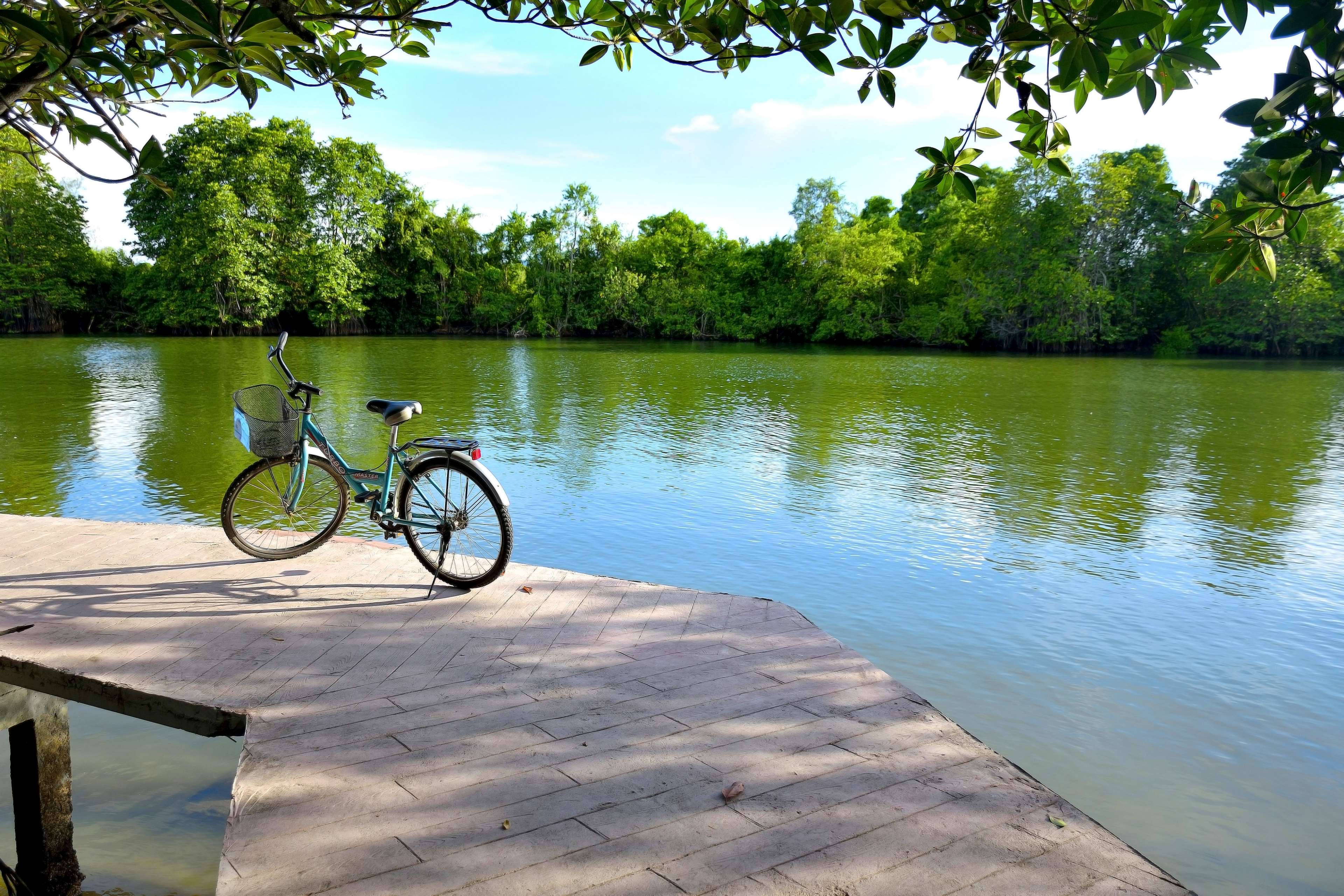 teal bicycle, basket, wooden dock, 4K Desktop Wallpaper