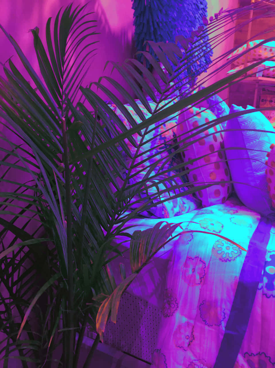 tropical palm plant, vibrant purple and pink neon light, patterned sofa, HD Phone Wallpaper